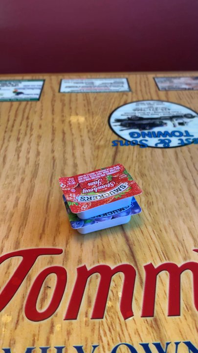 Tommy's Cafe - Ants everywhere! - American Near Me - Renton, Washington