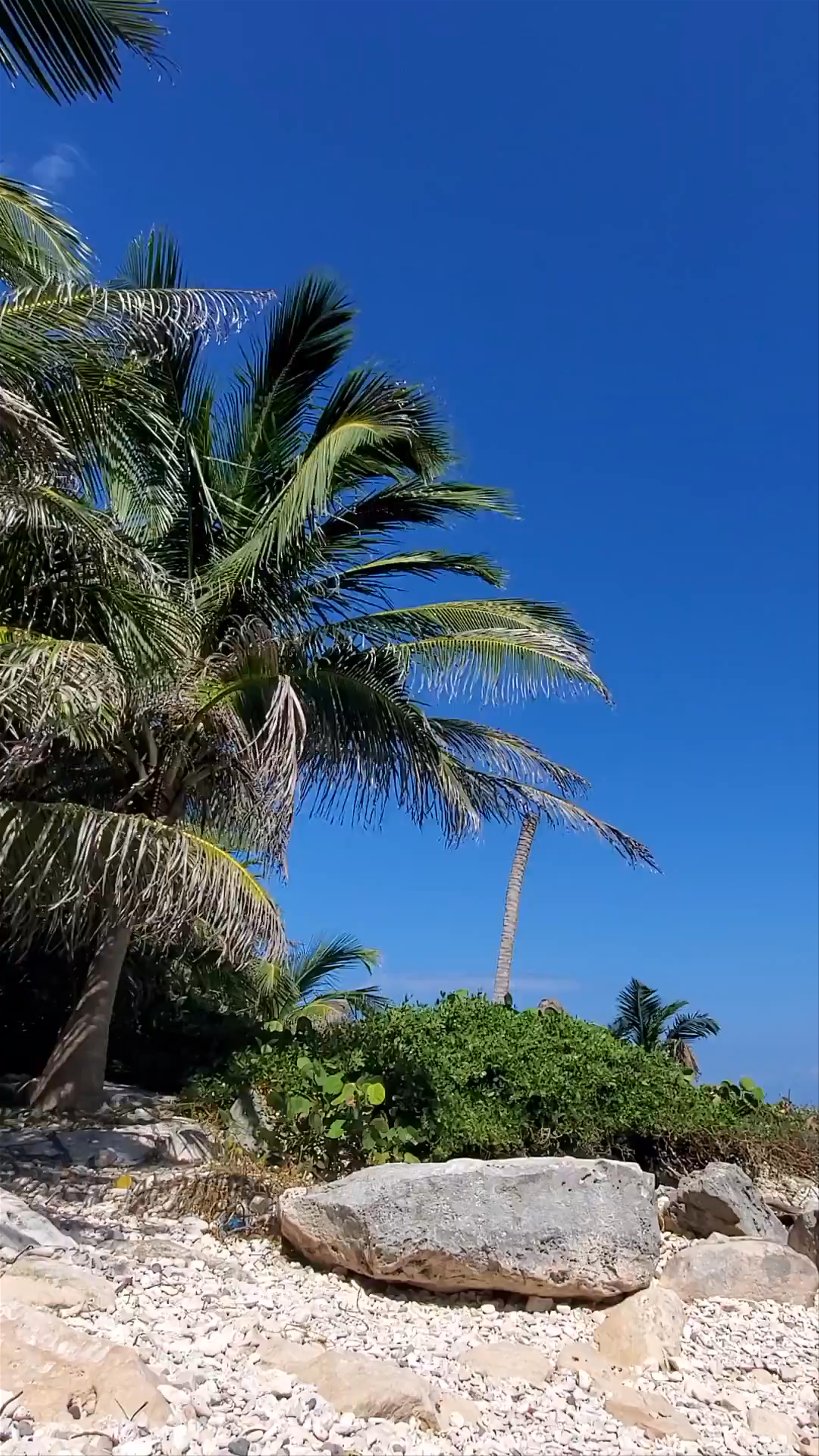 Secluded Rocky Beach Escape in Tulum, Mexico