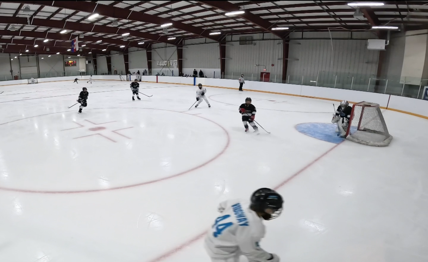 Myles Ridgway's Impressive Michigan Goal | Premiere Hockey League U13 Highlights