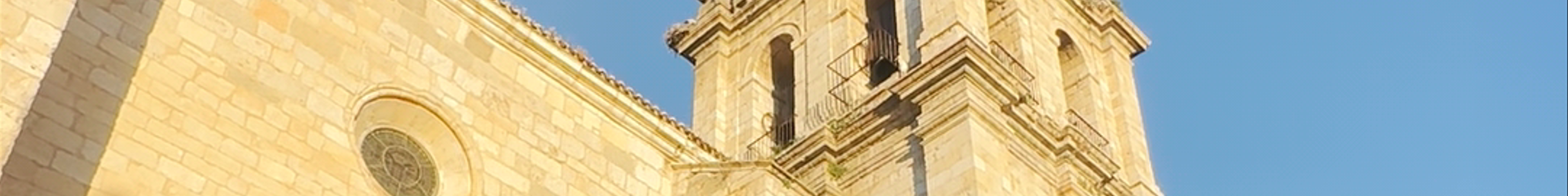 Tours & experiences in Alcalá de Henares