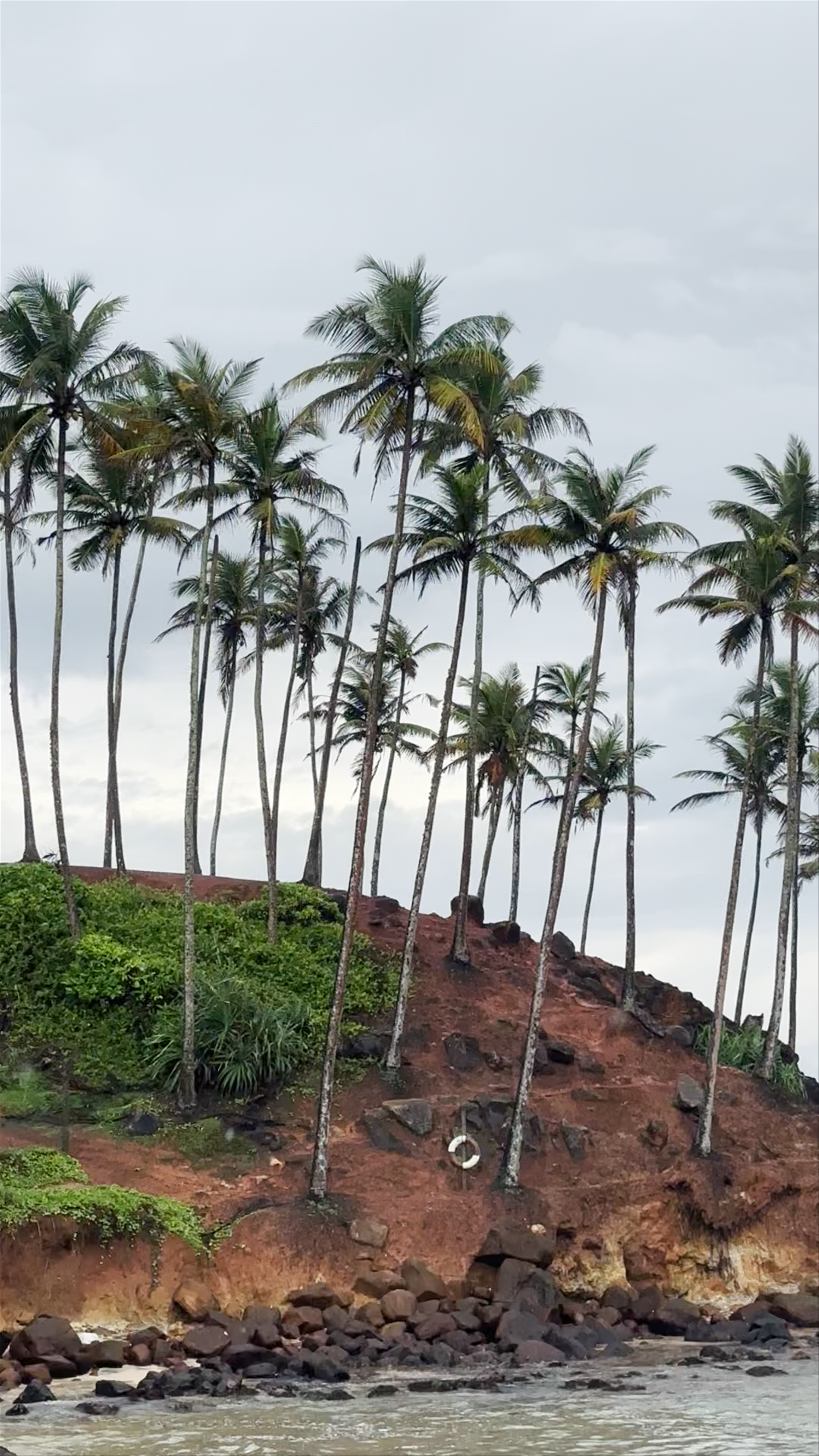 Coconut Tree Hill