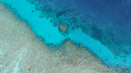 Aerial View of Coral Reef in North Efate, Vanuatu animated gif