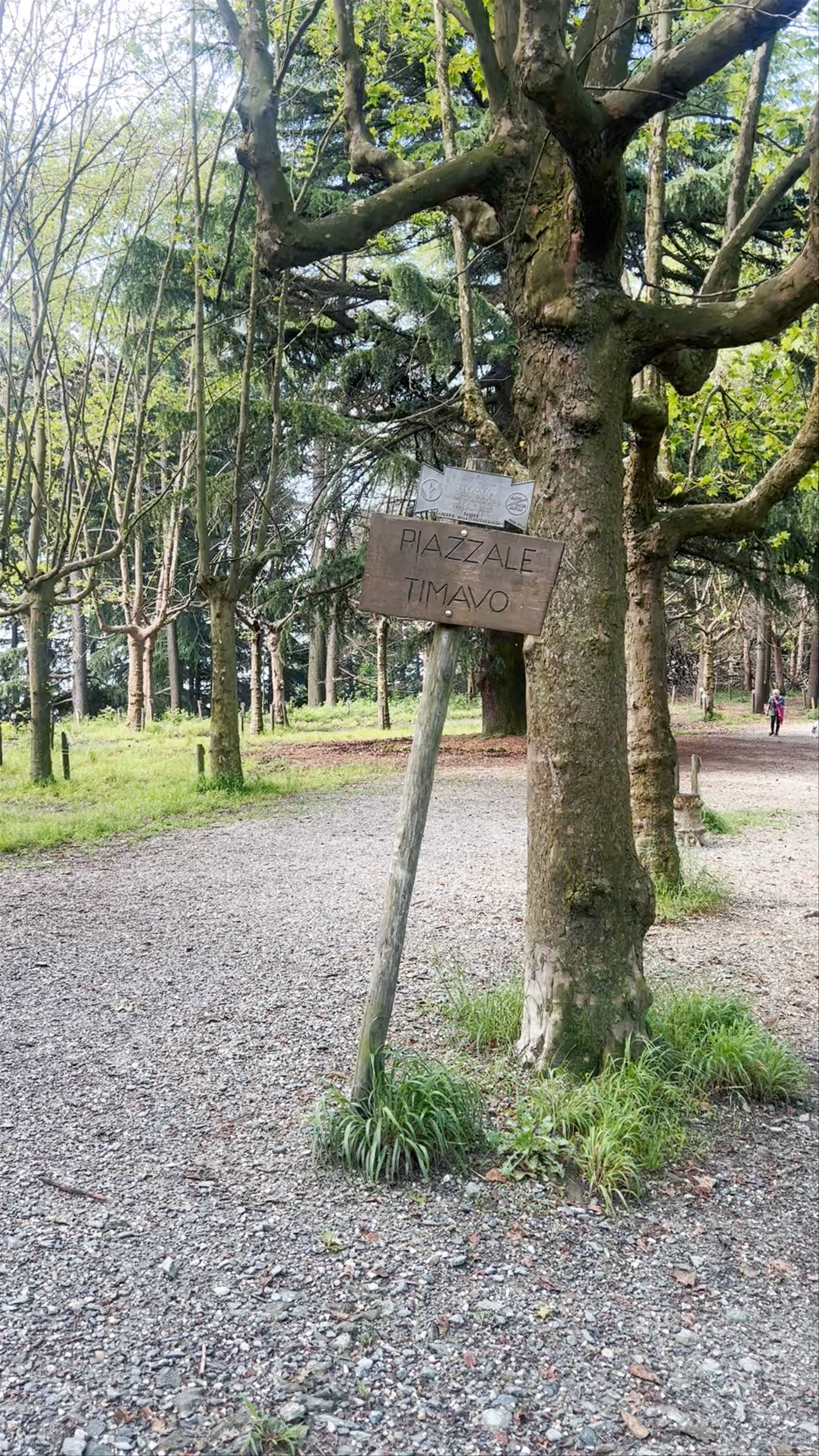Springtime Serenity at Parco della Rimembranza, Turin