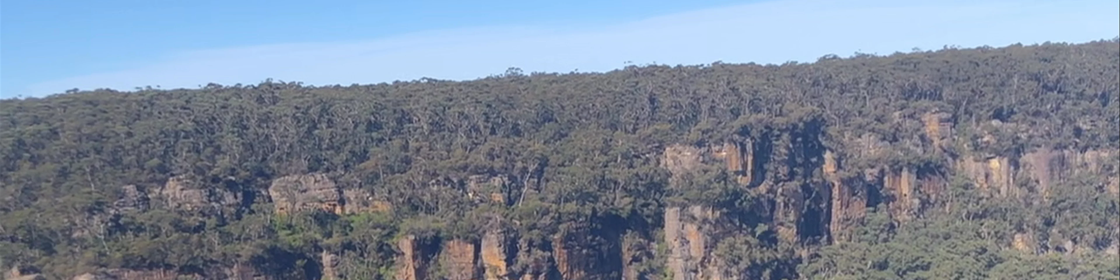 Missingham lookout track