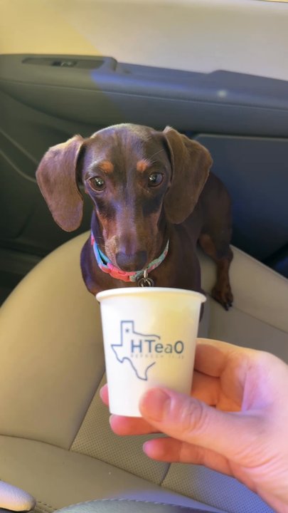 HTeaO - Coffee & Tea Near Me - San Antonio, Texas