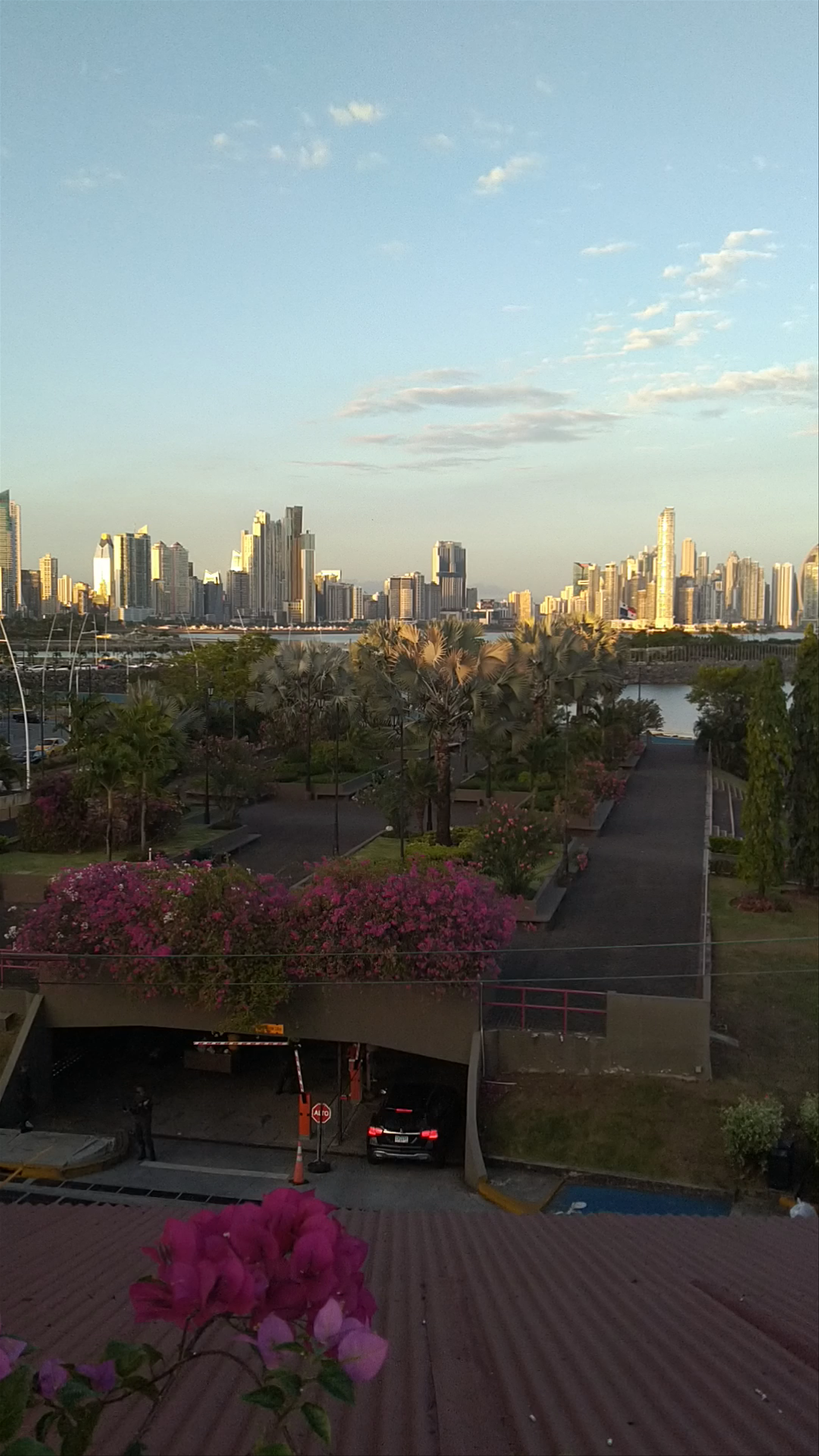 Panama City Skyline from LAZOTEA Restaurant & Rooftop