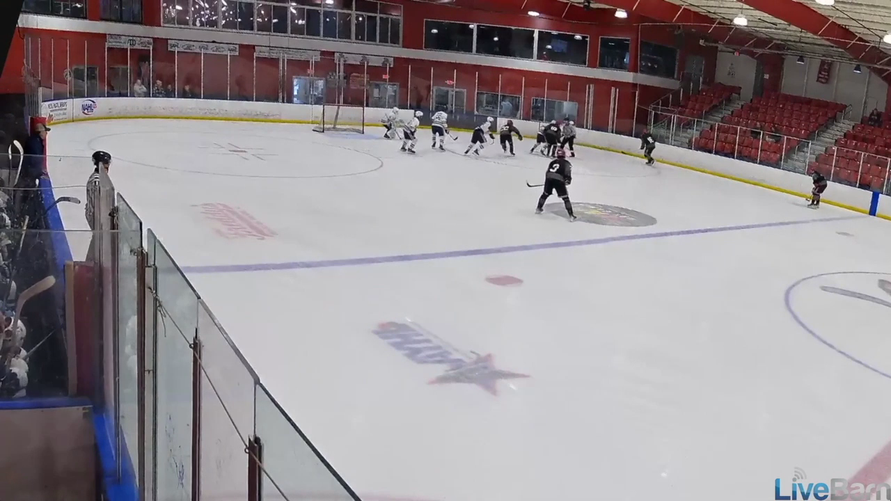 Safir Aradj's Best Plays: Dominating the Ice with New Jersey Jr. Titans