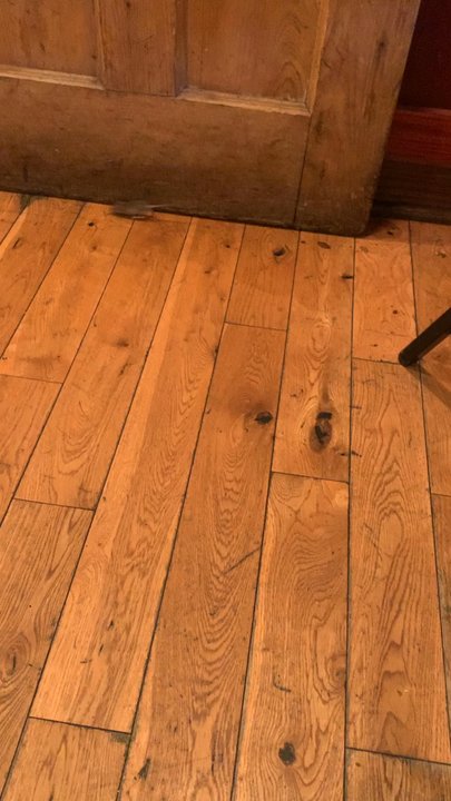 Keifer's Restaurant - Mouse having a field day - Greek Near Me - Jackson, Mississippi