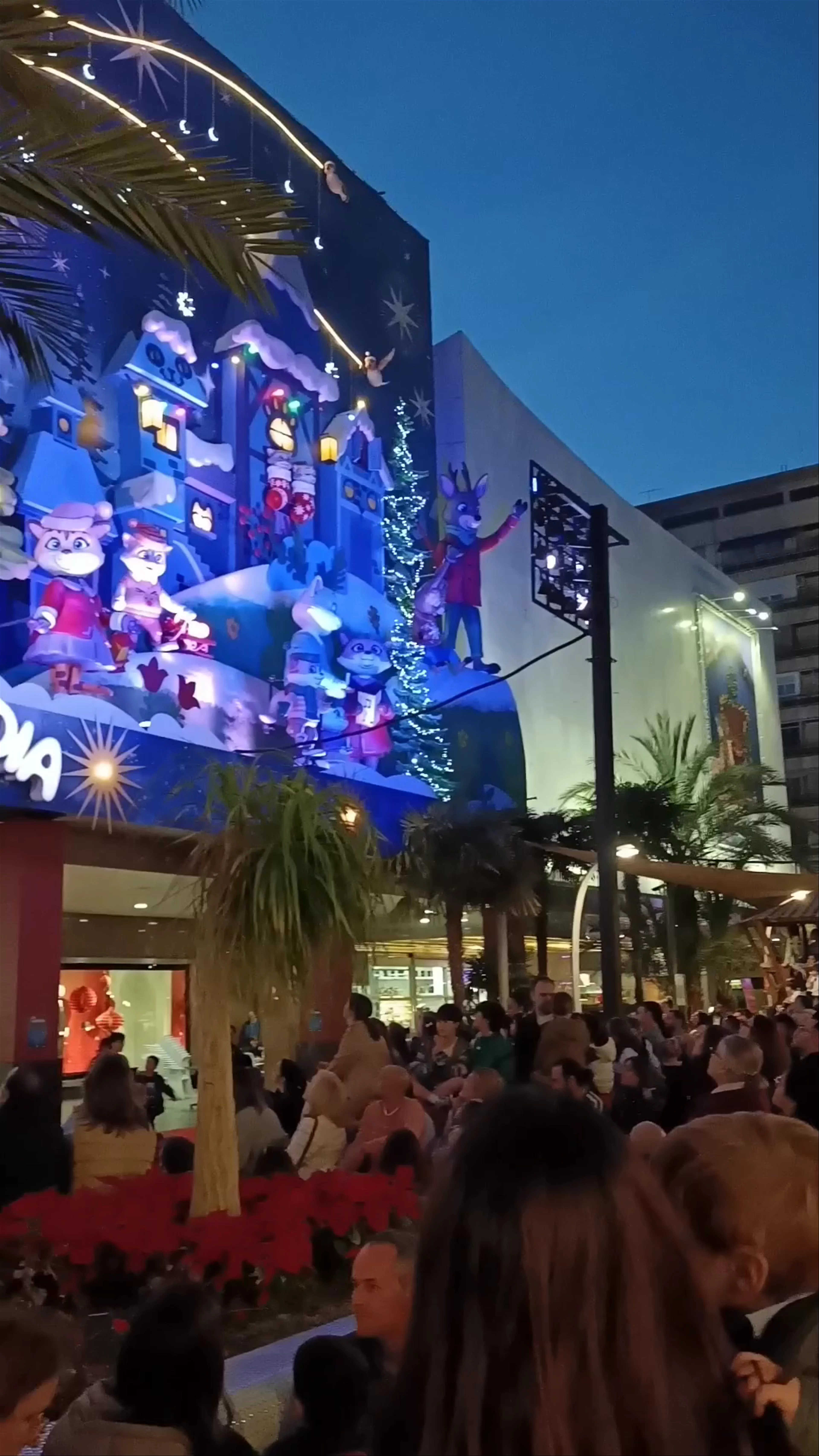 Cortylandia Murcia
