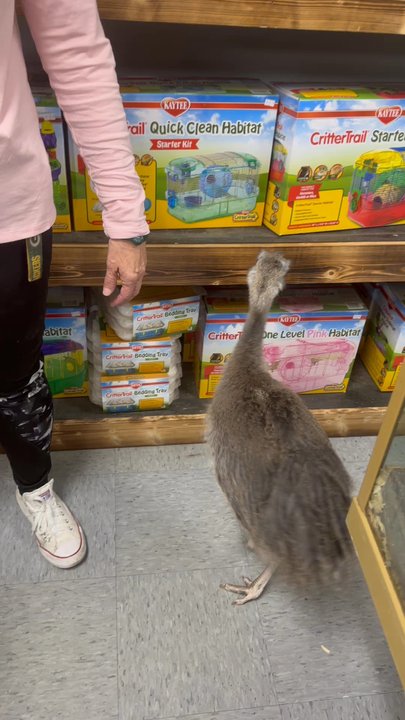 Panhandle Exotics - Pet Stores Near Me - Pensacola, Florida