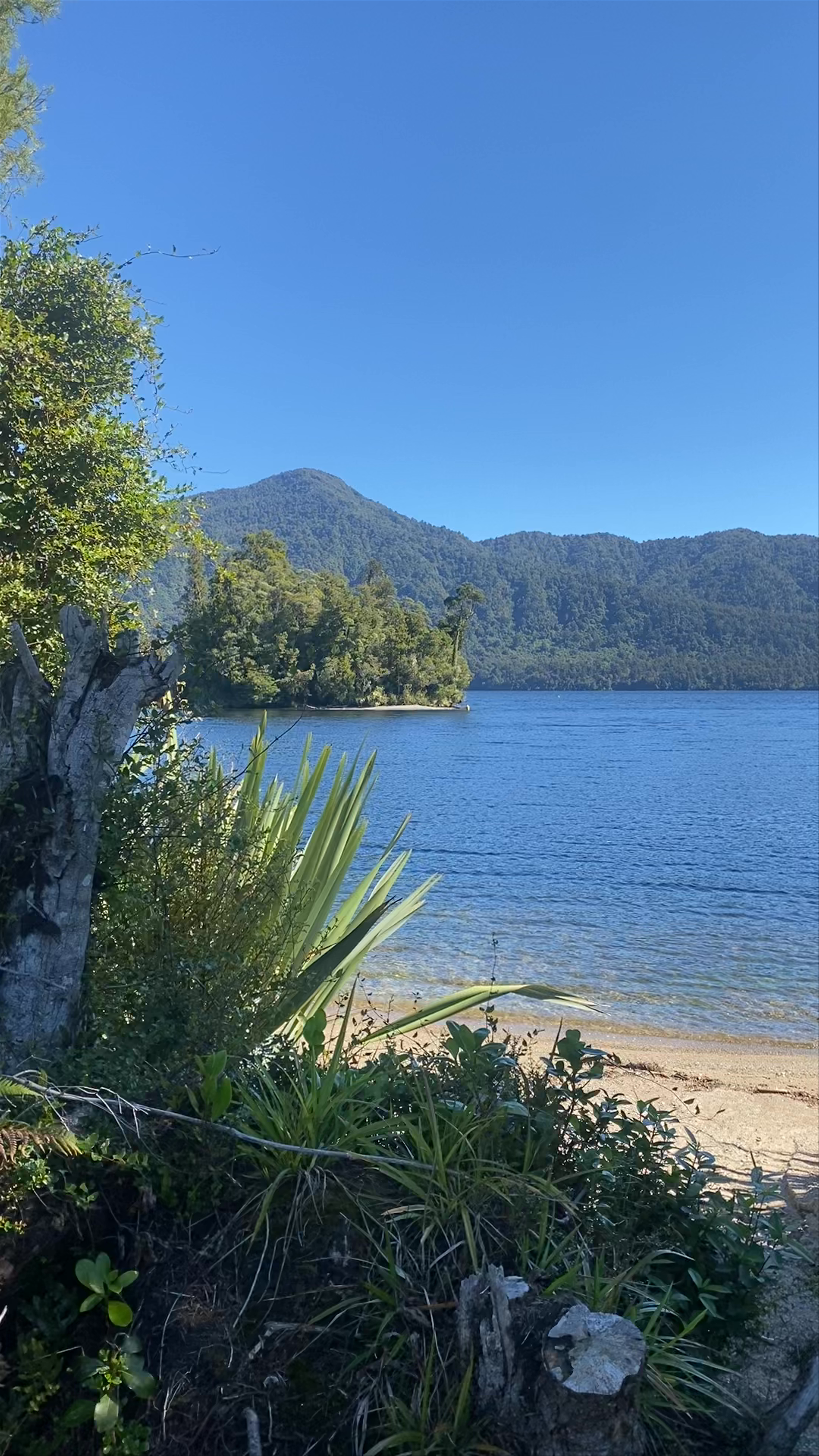 Lake Kaniere