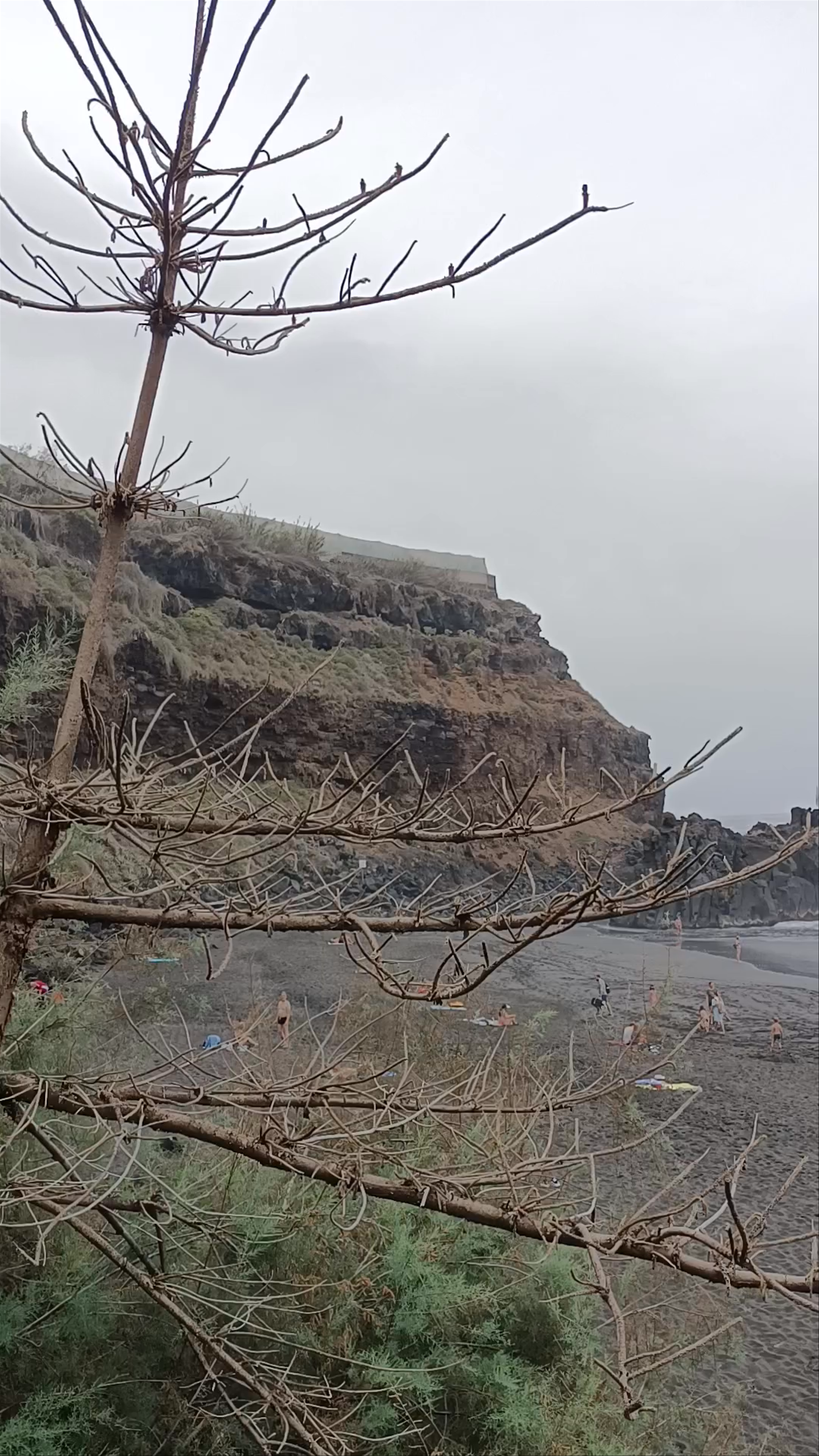 Playa El Bollullo: Untamed Black Sand Beach in Tenerife, Spain