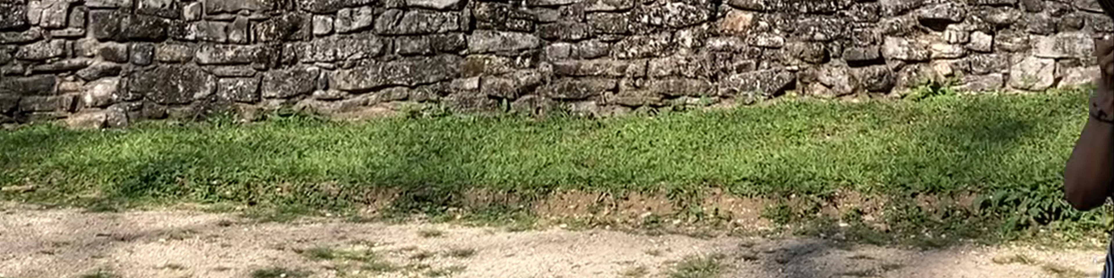 Zona Arqueológica Palenque