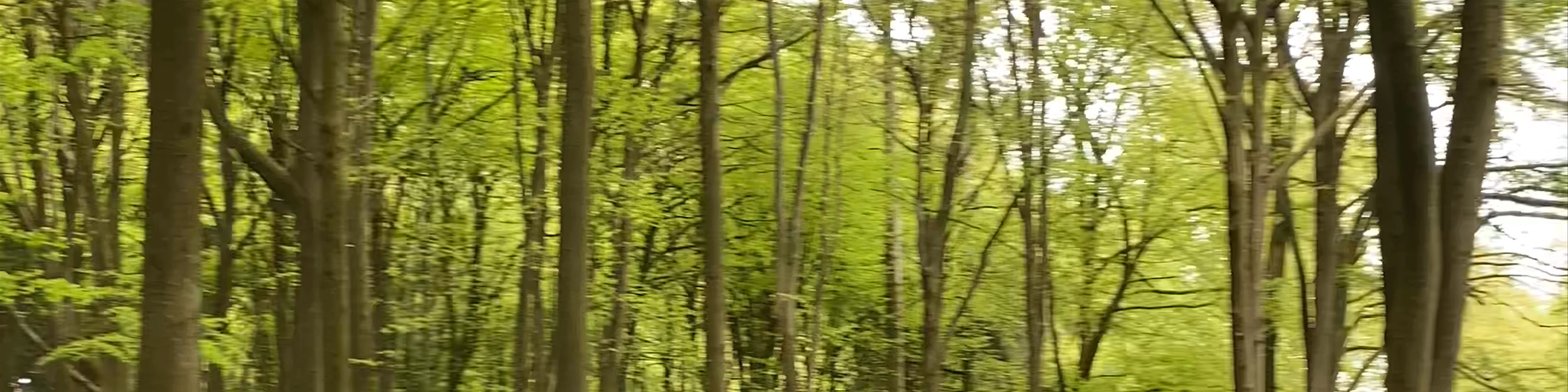 Kings Wood Car Park