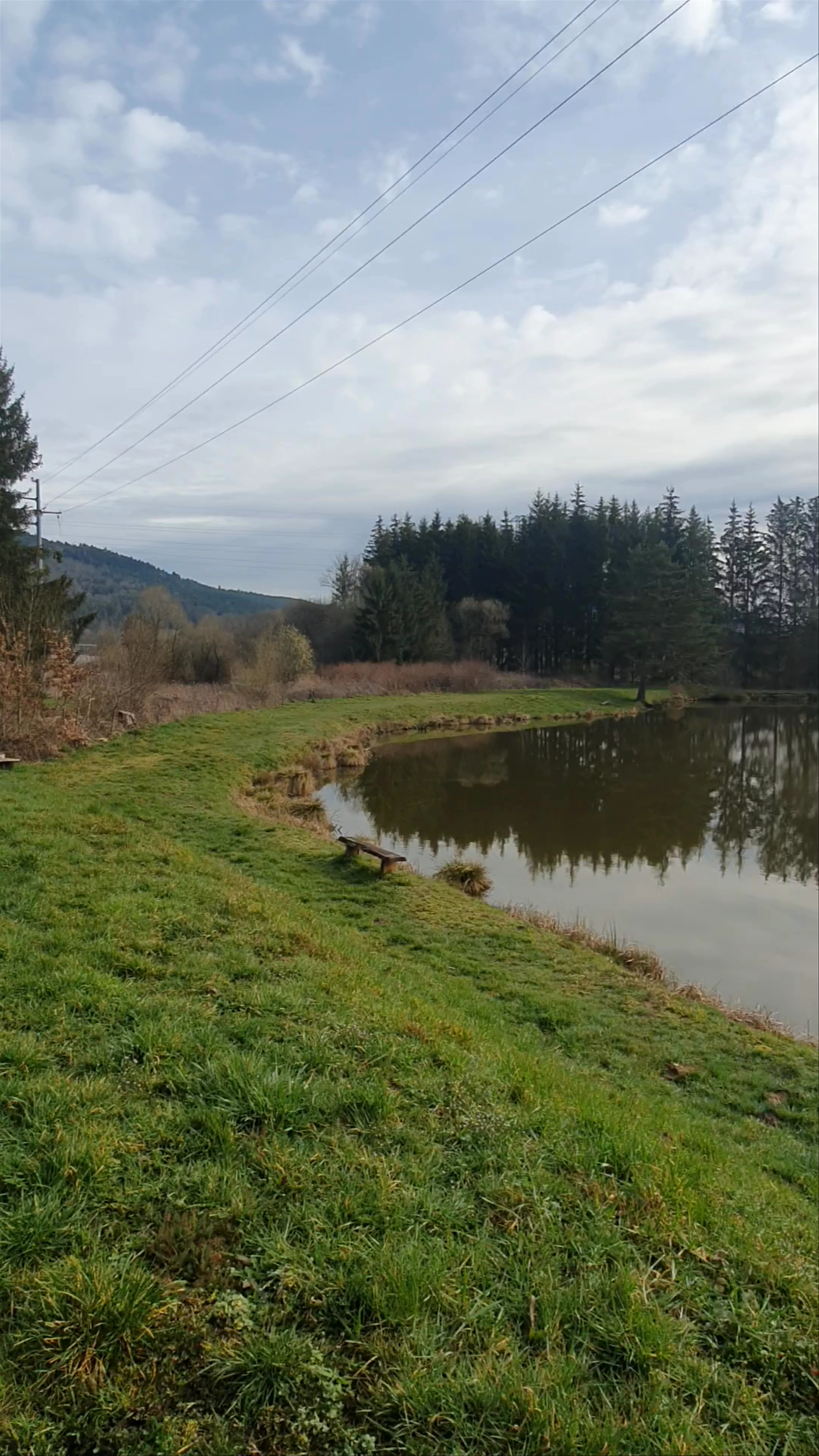 Saint-Dié-des-Vosges