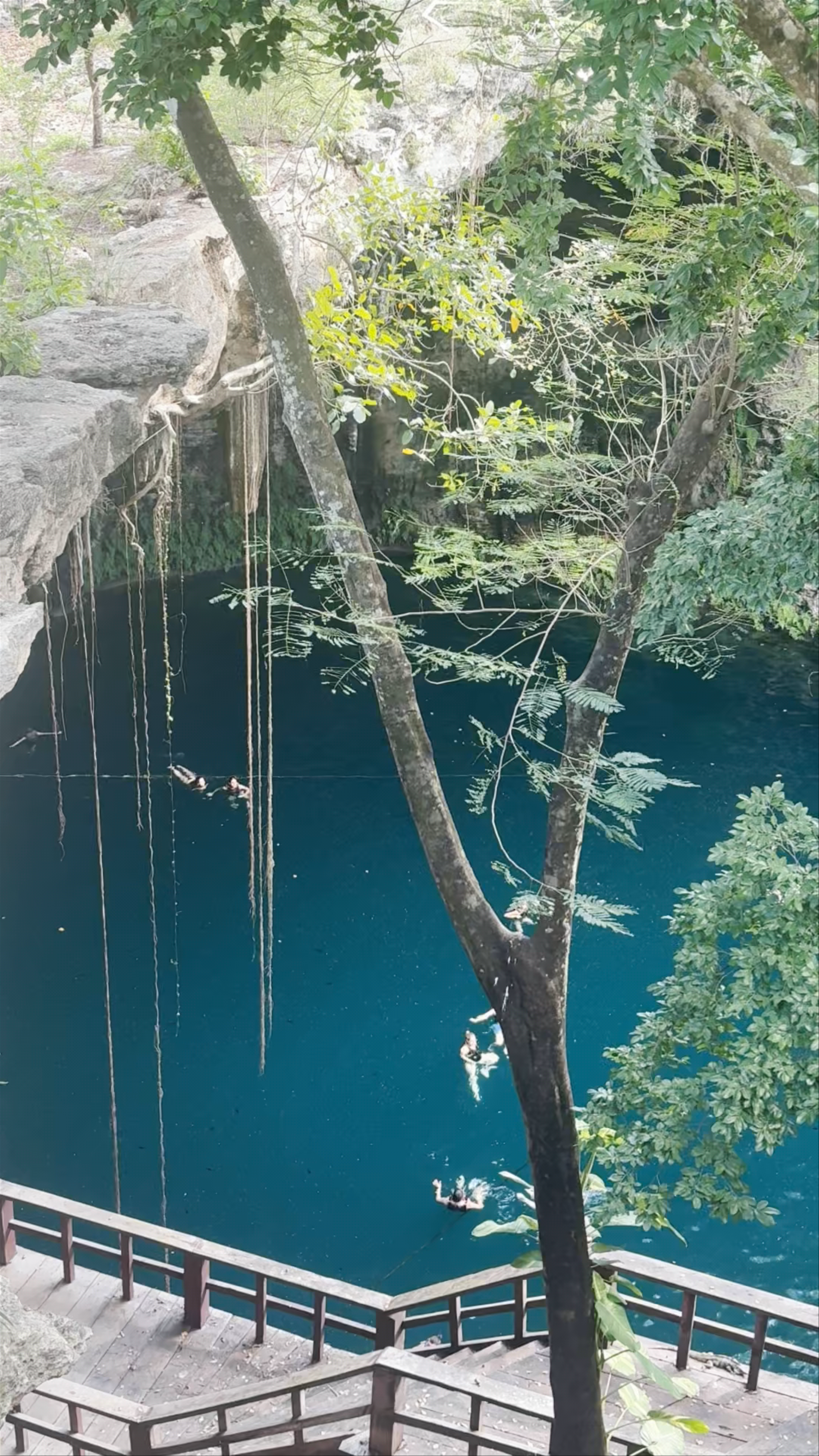 Cenote Zaci: Magical Swimming in a Natural Yucatan Wonder