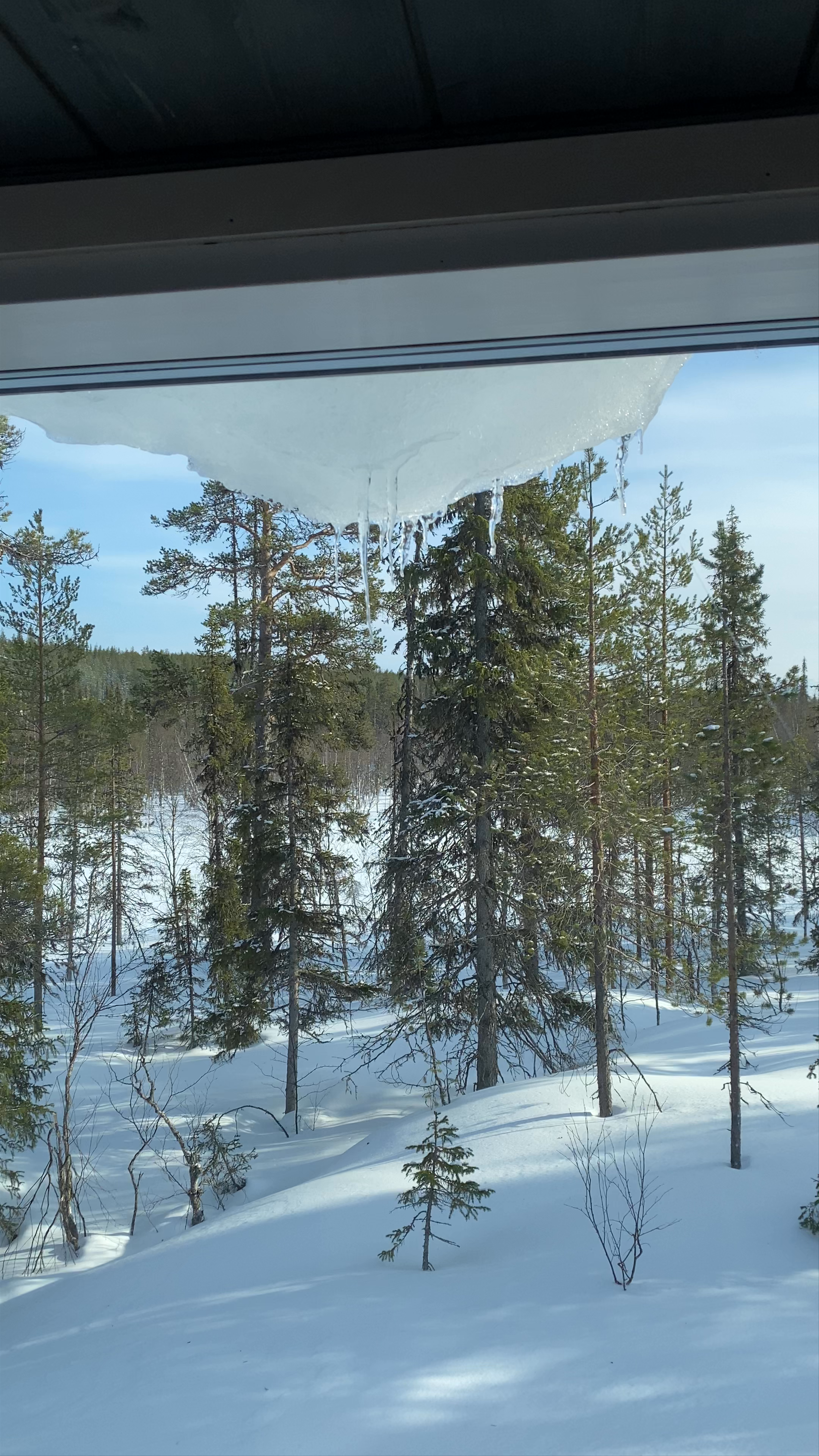 Finnish Sauna