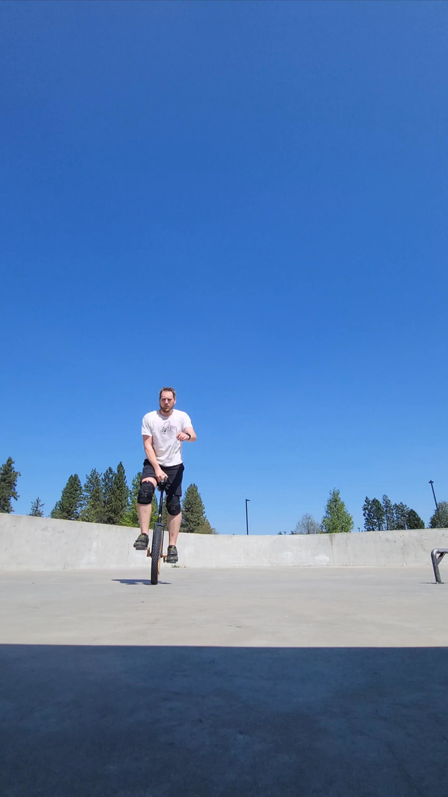 riu submission: Rev to flip