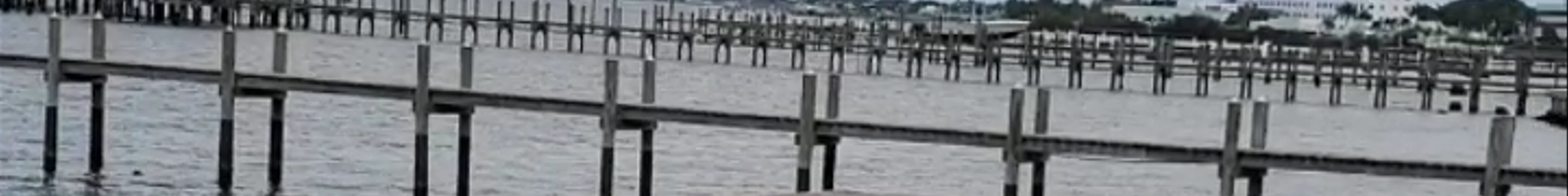 Tours & experiences in Stuart