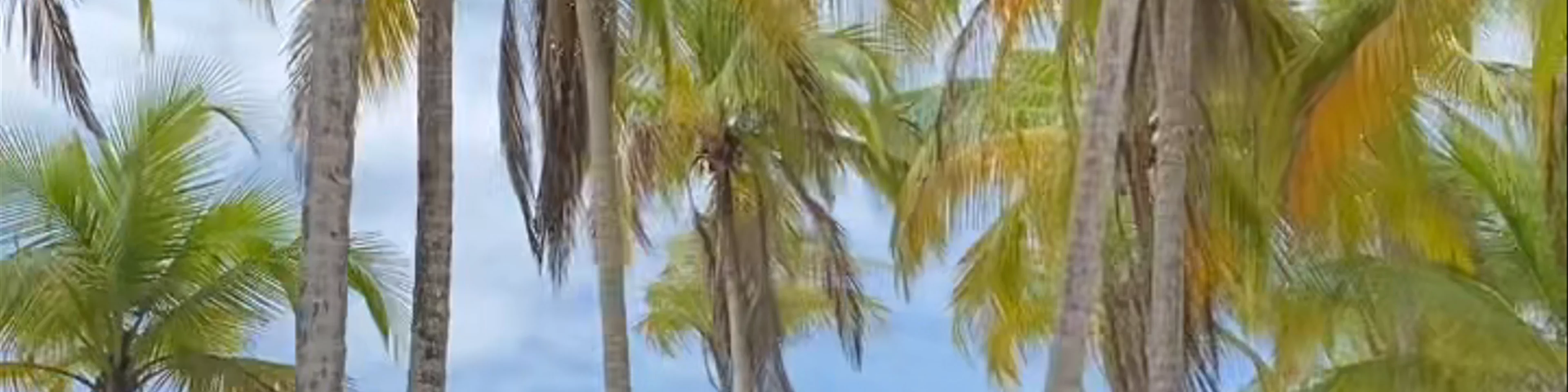 Playa Carrillo