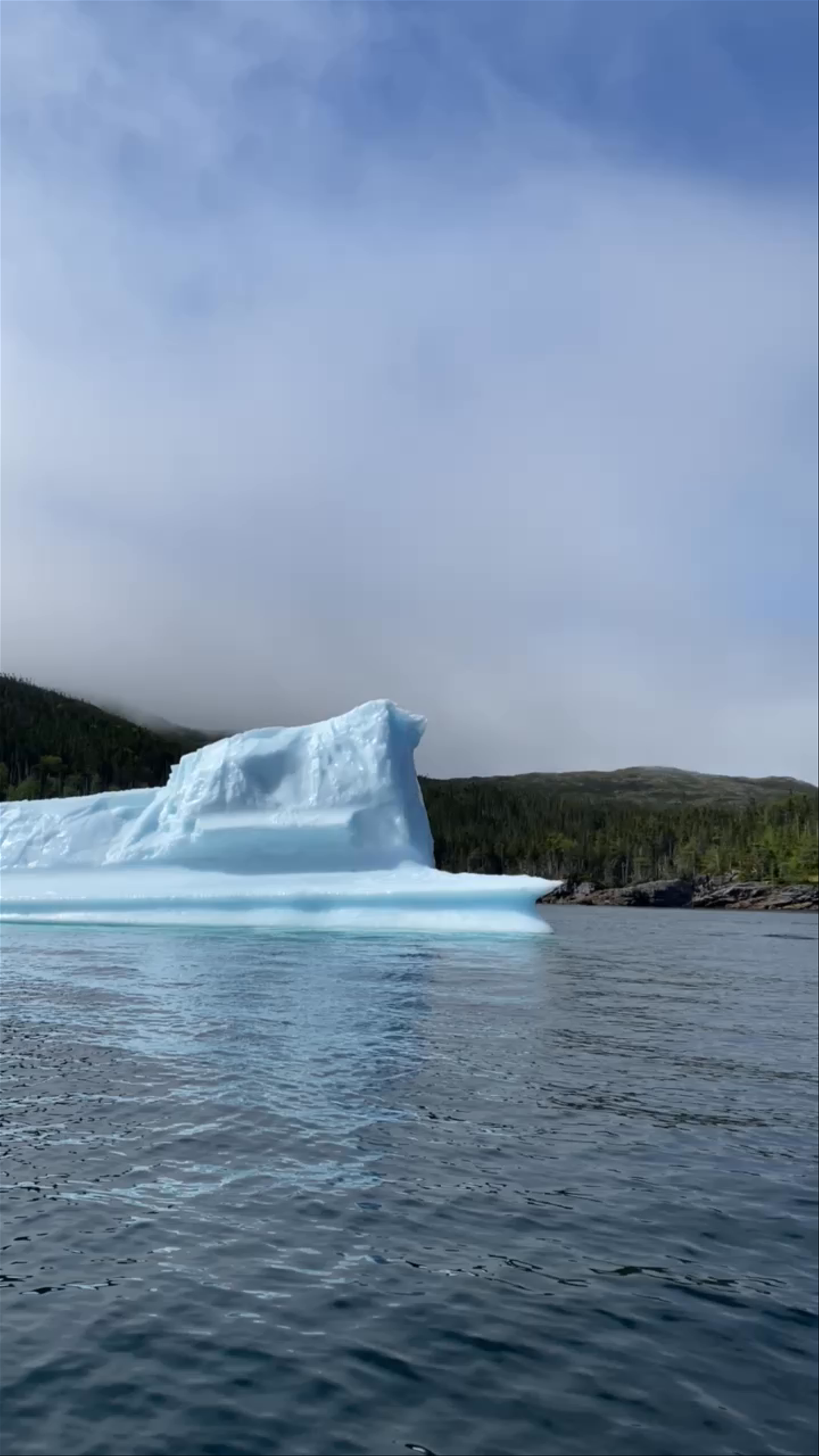 Sea of Whales Adventures