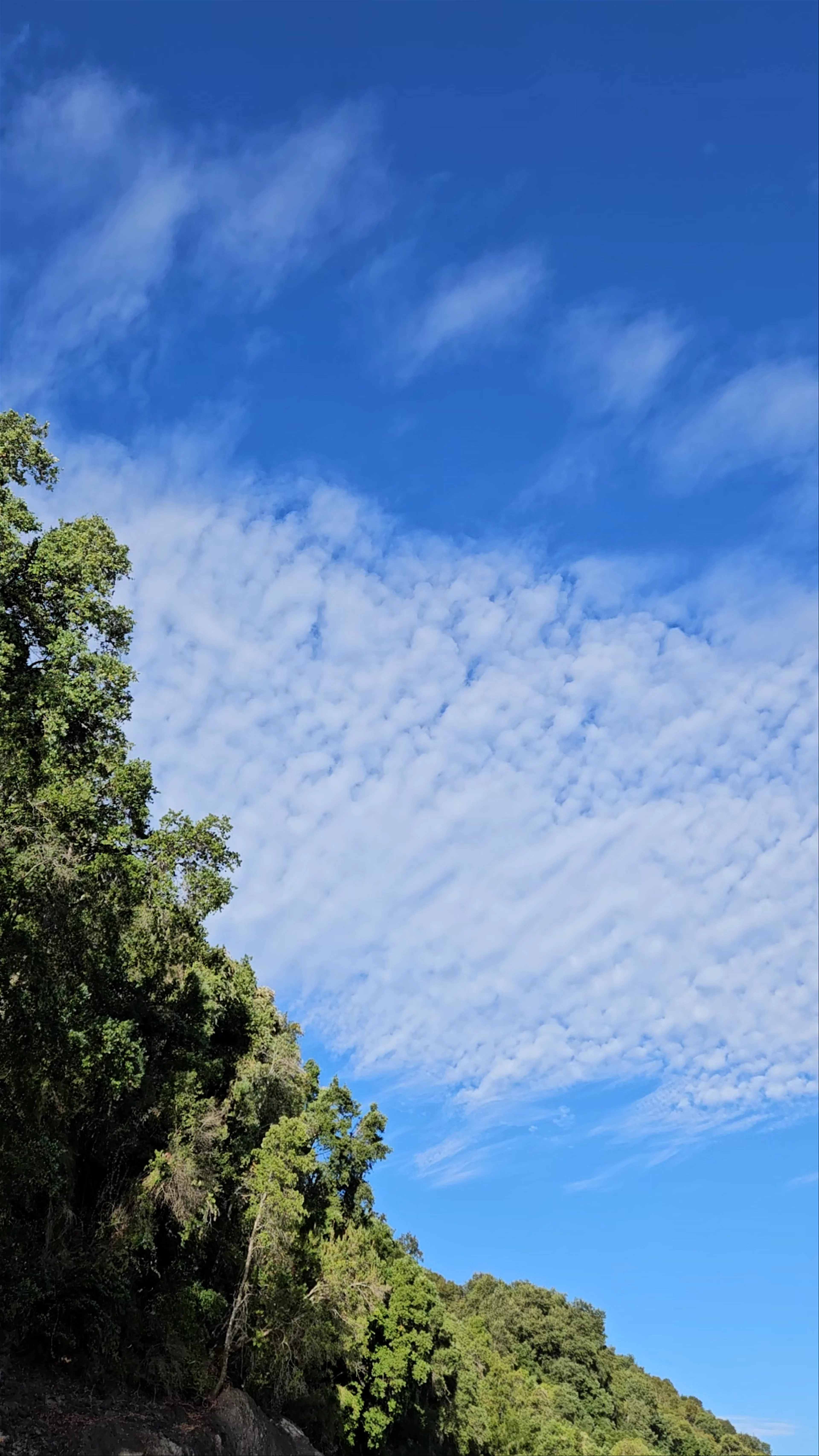 San Fabián de Alico