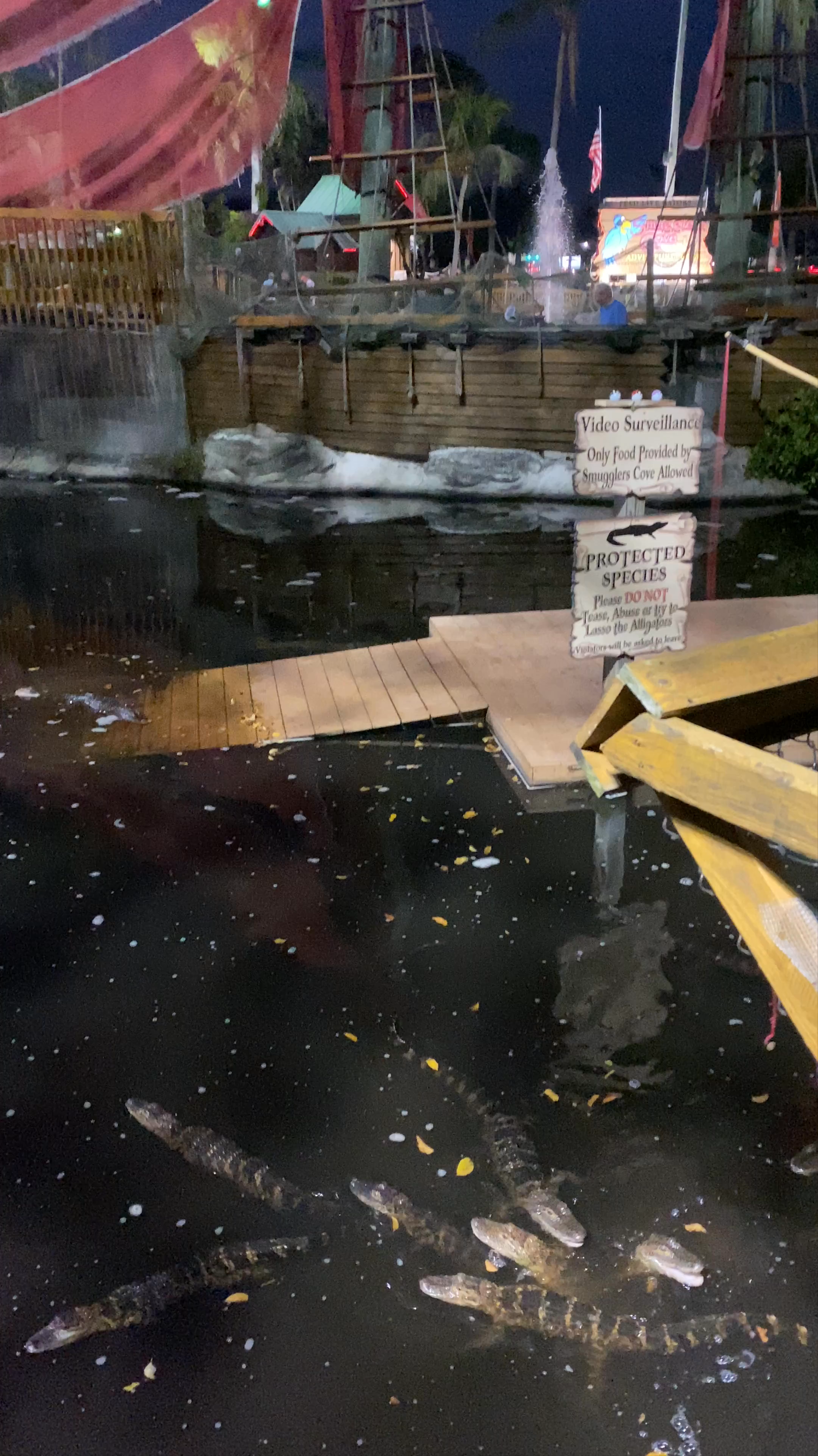 Smugglers Cove Adventure Golf