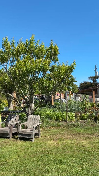 Wild Flour Bread - Bakeries Near Me - Freestone, California