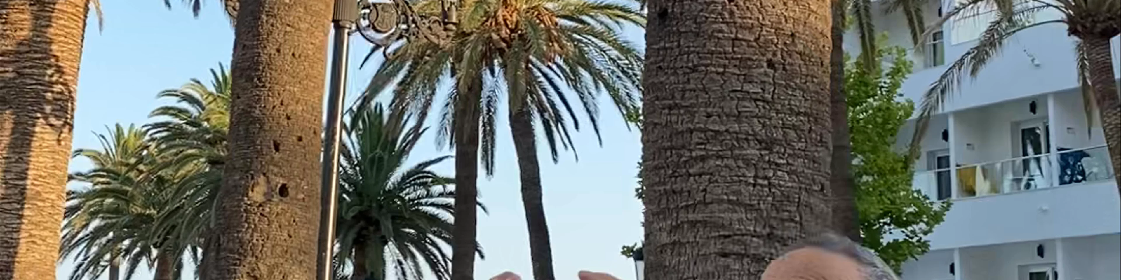 El Mirador