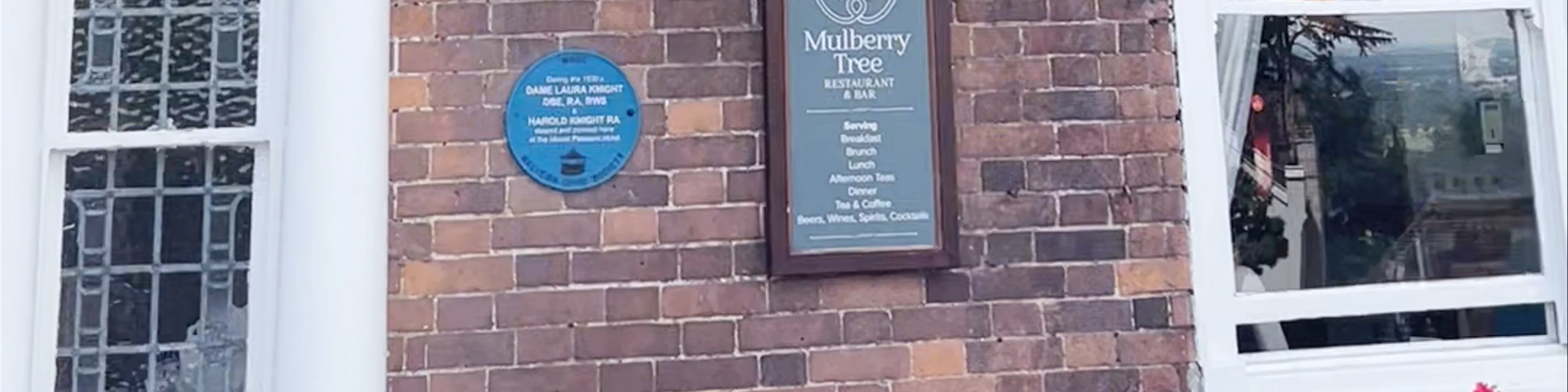 Mulberry Tree