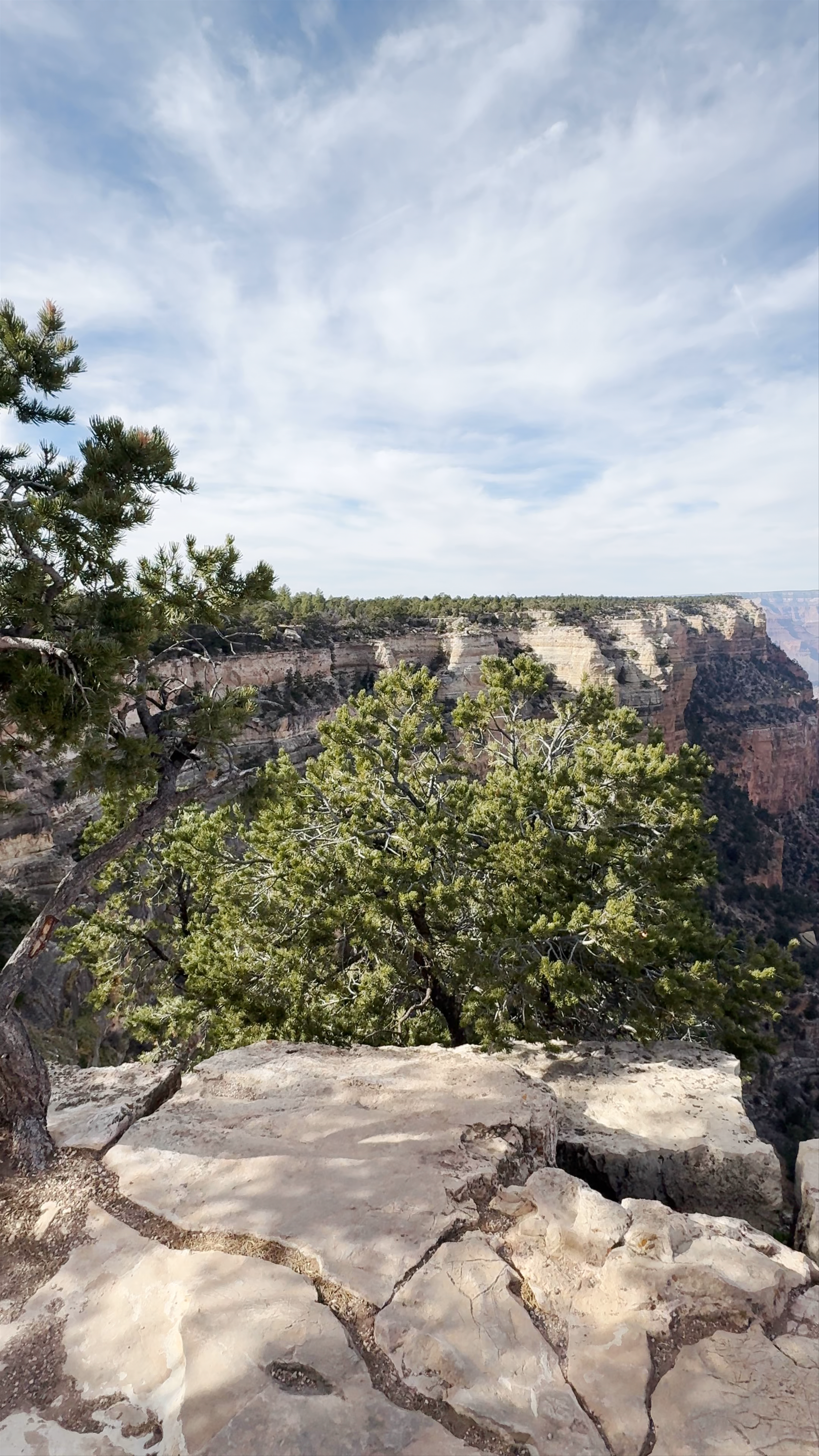 Grand Canyon South Rim