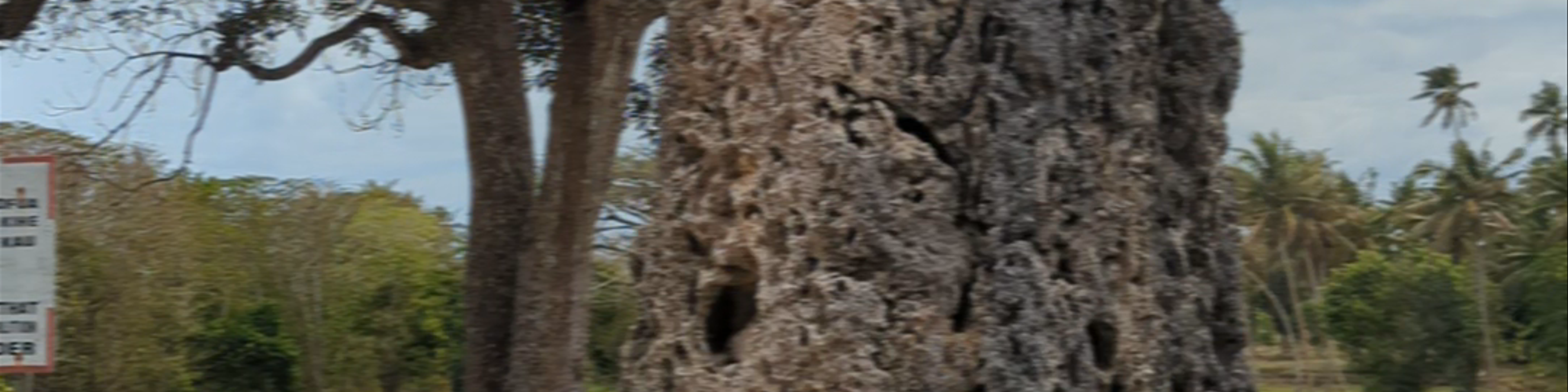 Tonga