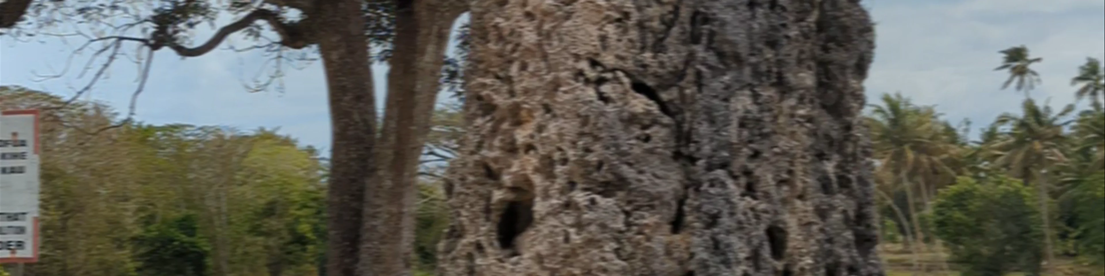 Ha'amonga 'a Maui Trilithon