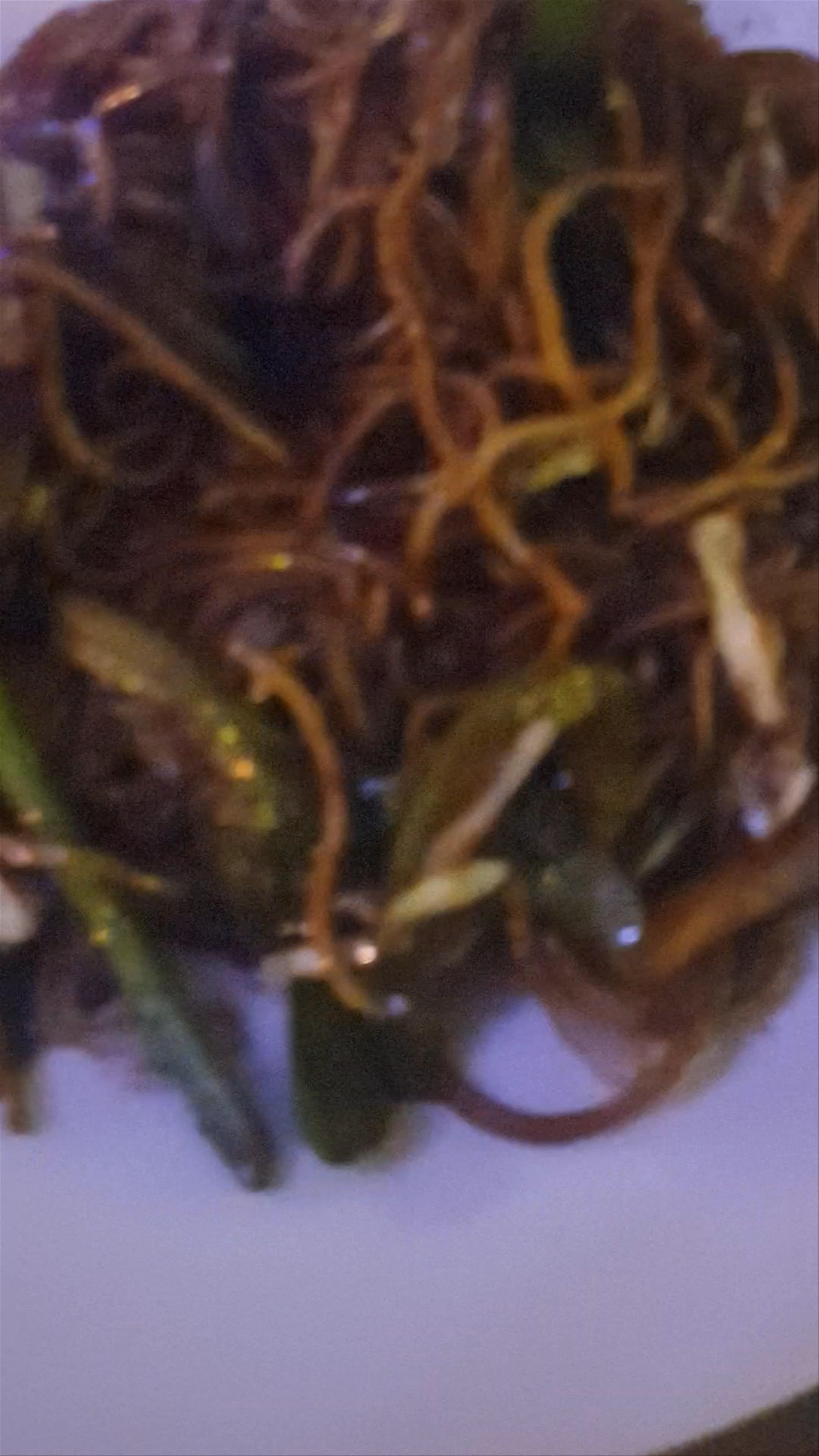 Wood House Restaurant and Bar