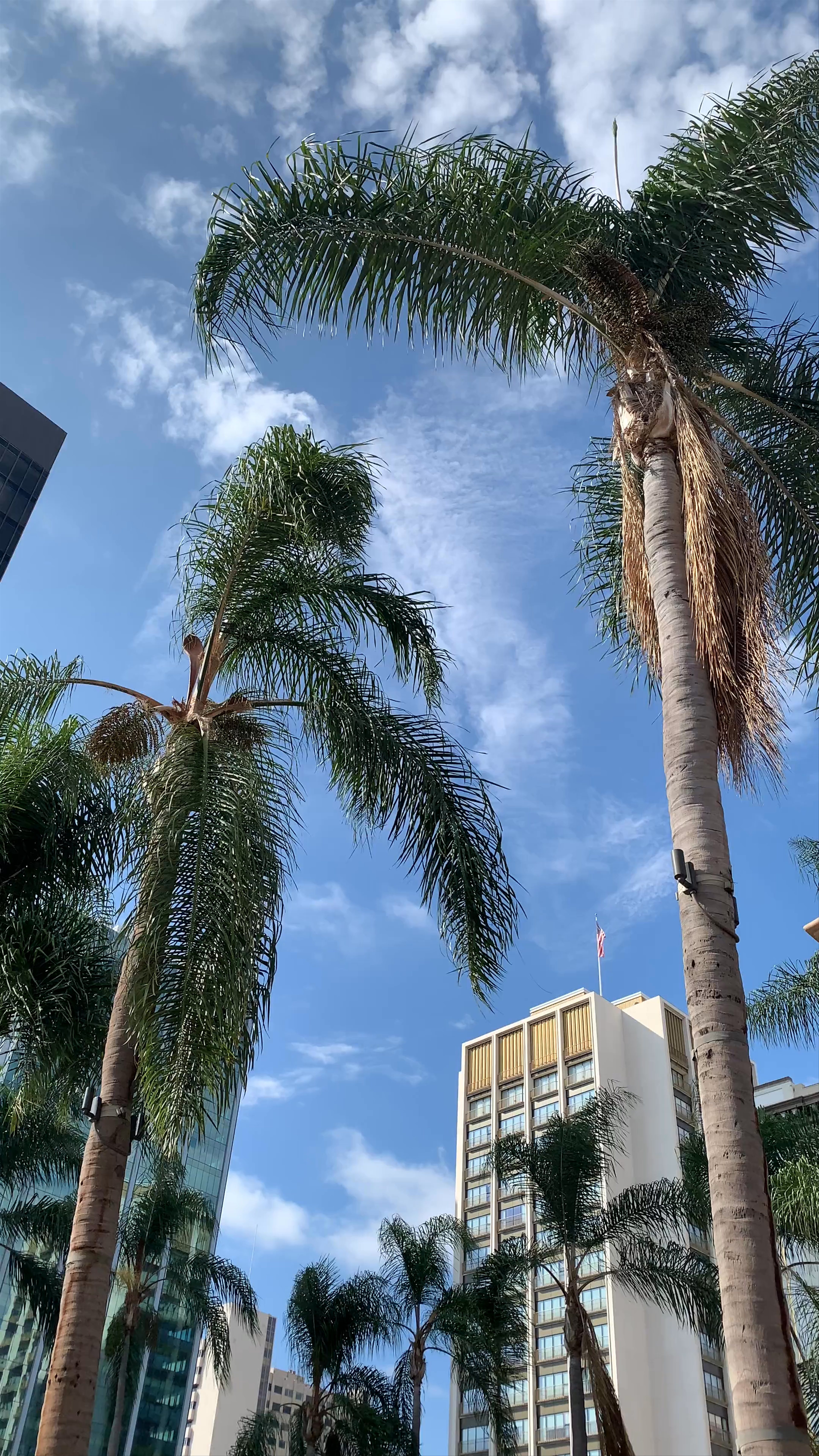 Horton Plaza Park