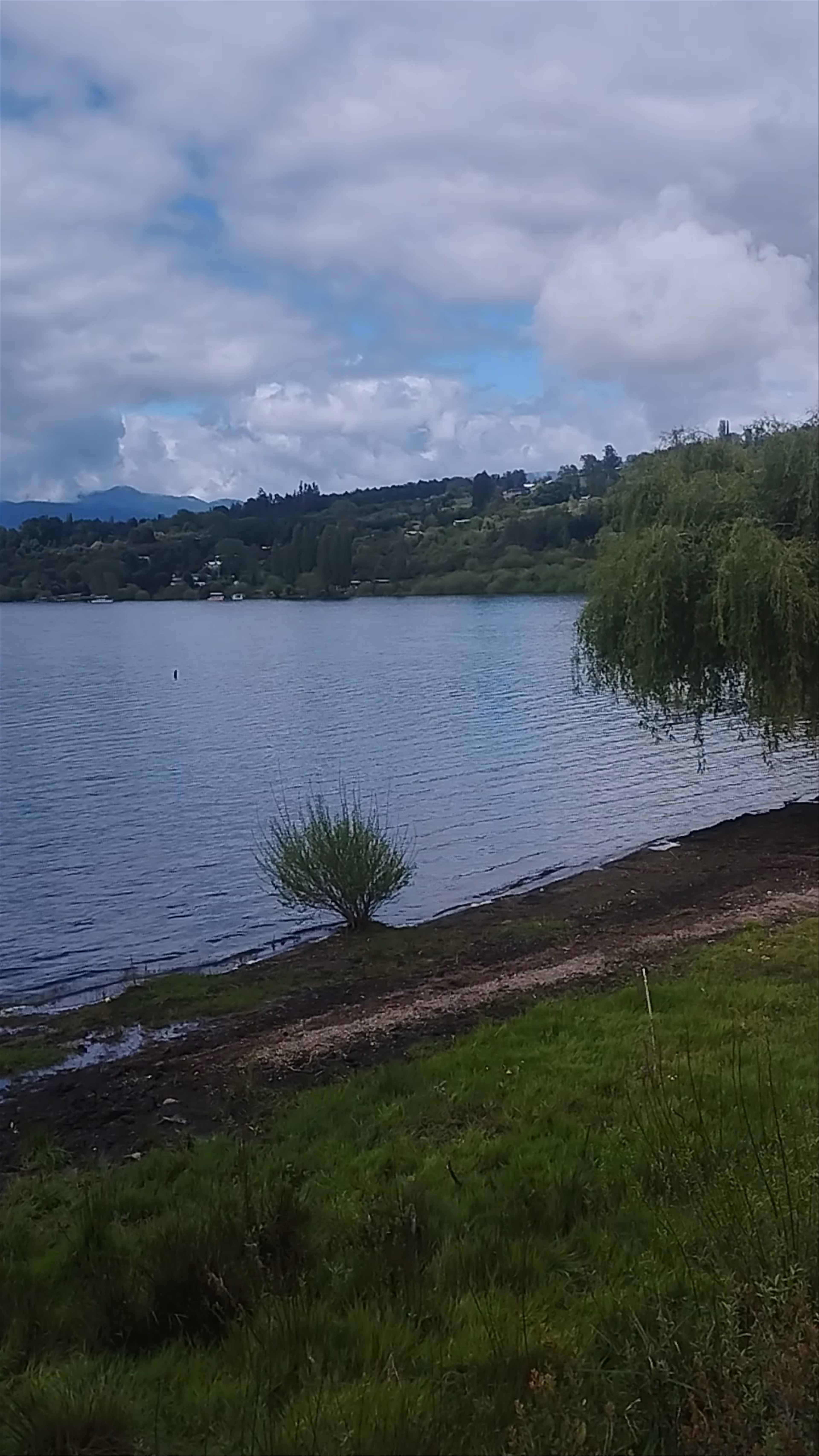 Playa De Panguipulli - Bernardo O'Higgins