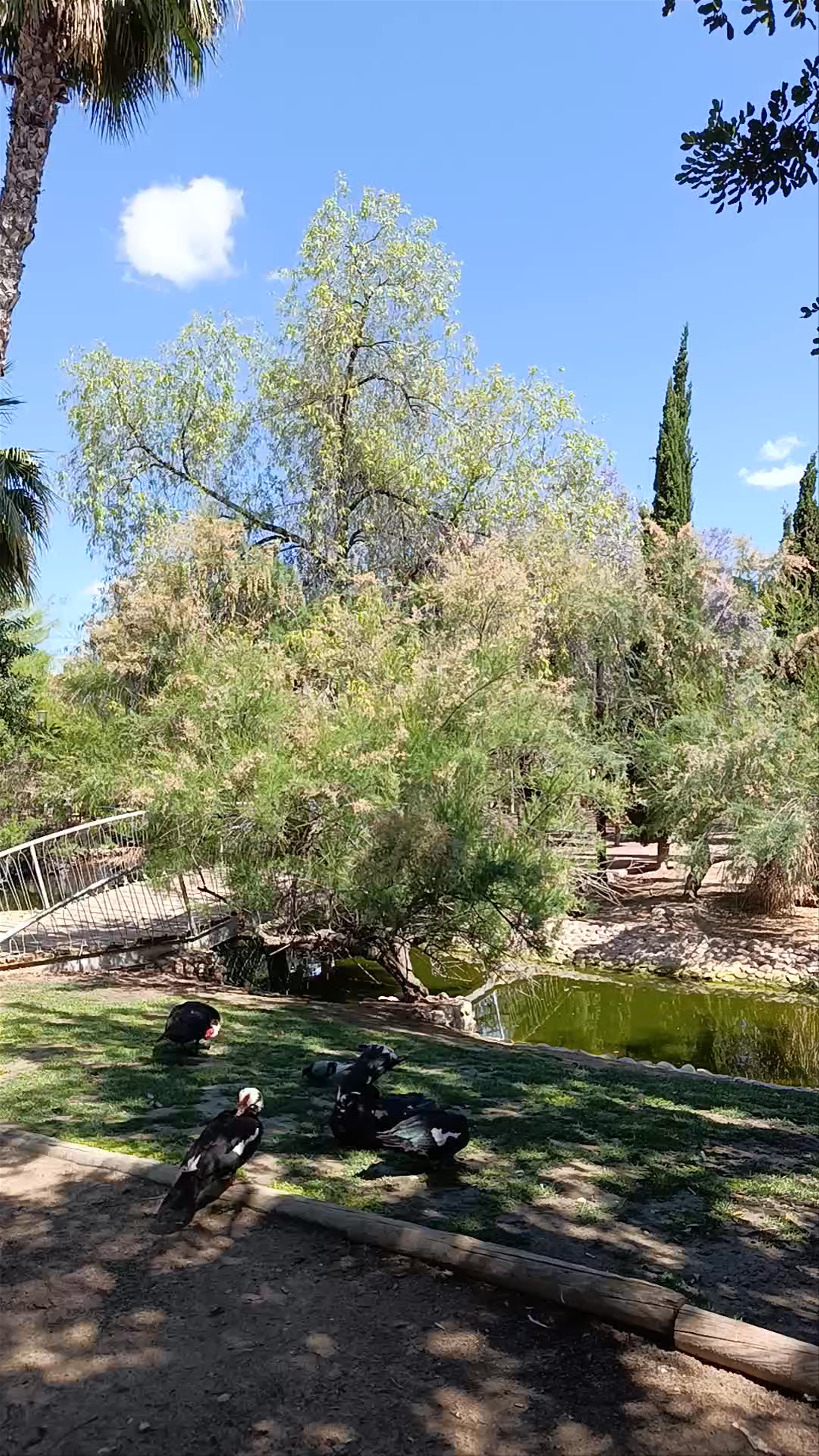 Jardin de la Seda
