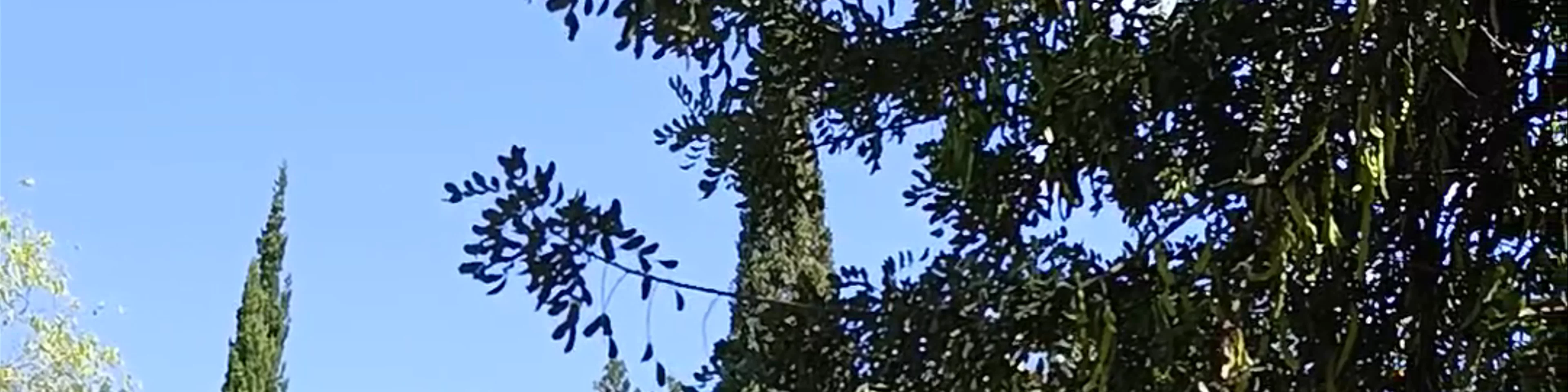 Jardin de la Seda