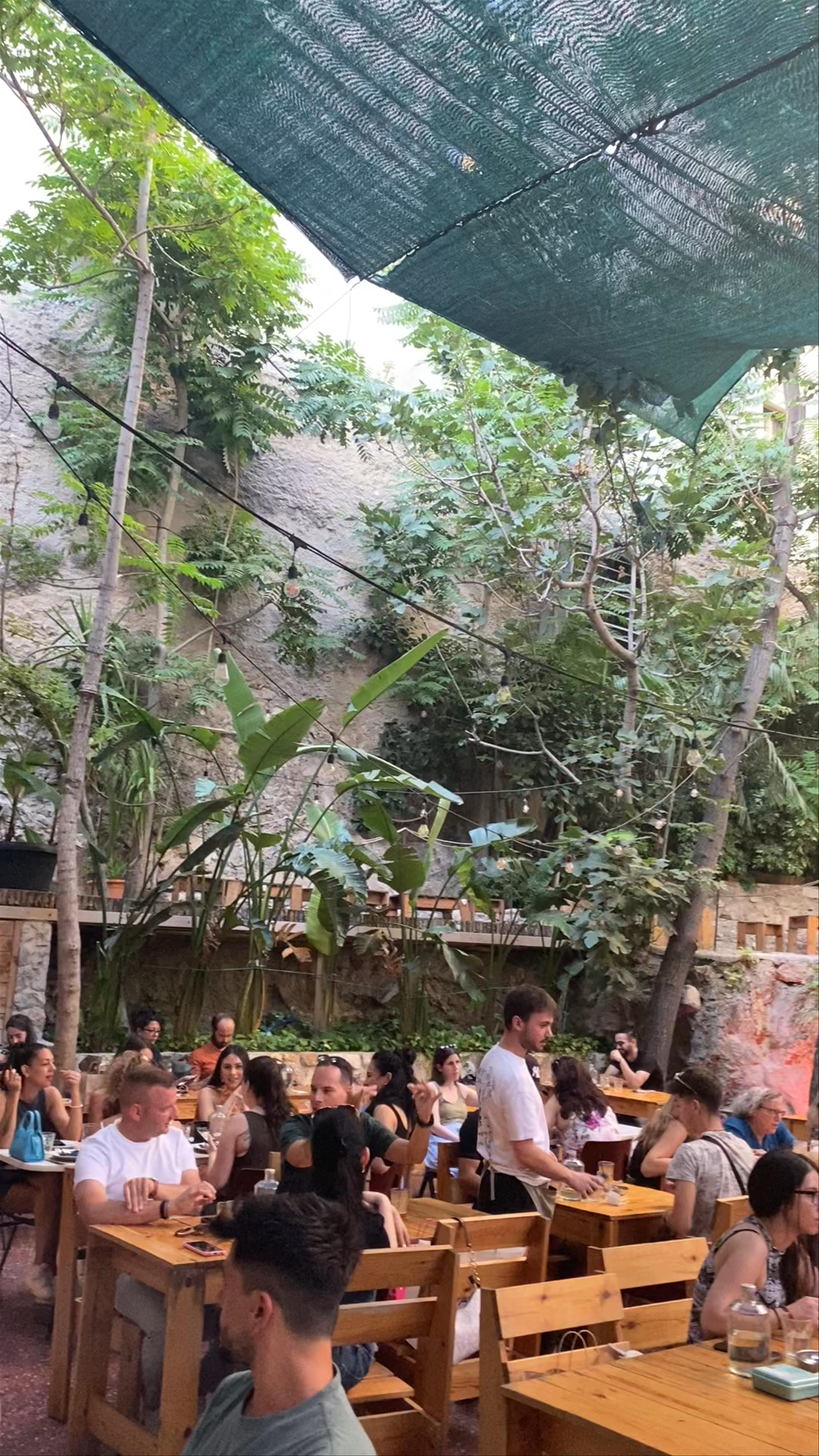 six d.o.g.s: Lush Urban Oasis & Vibrant Nightlife in Athens
