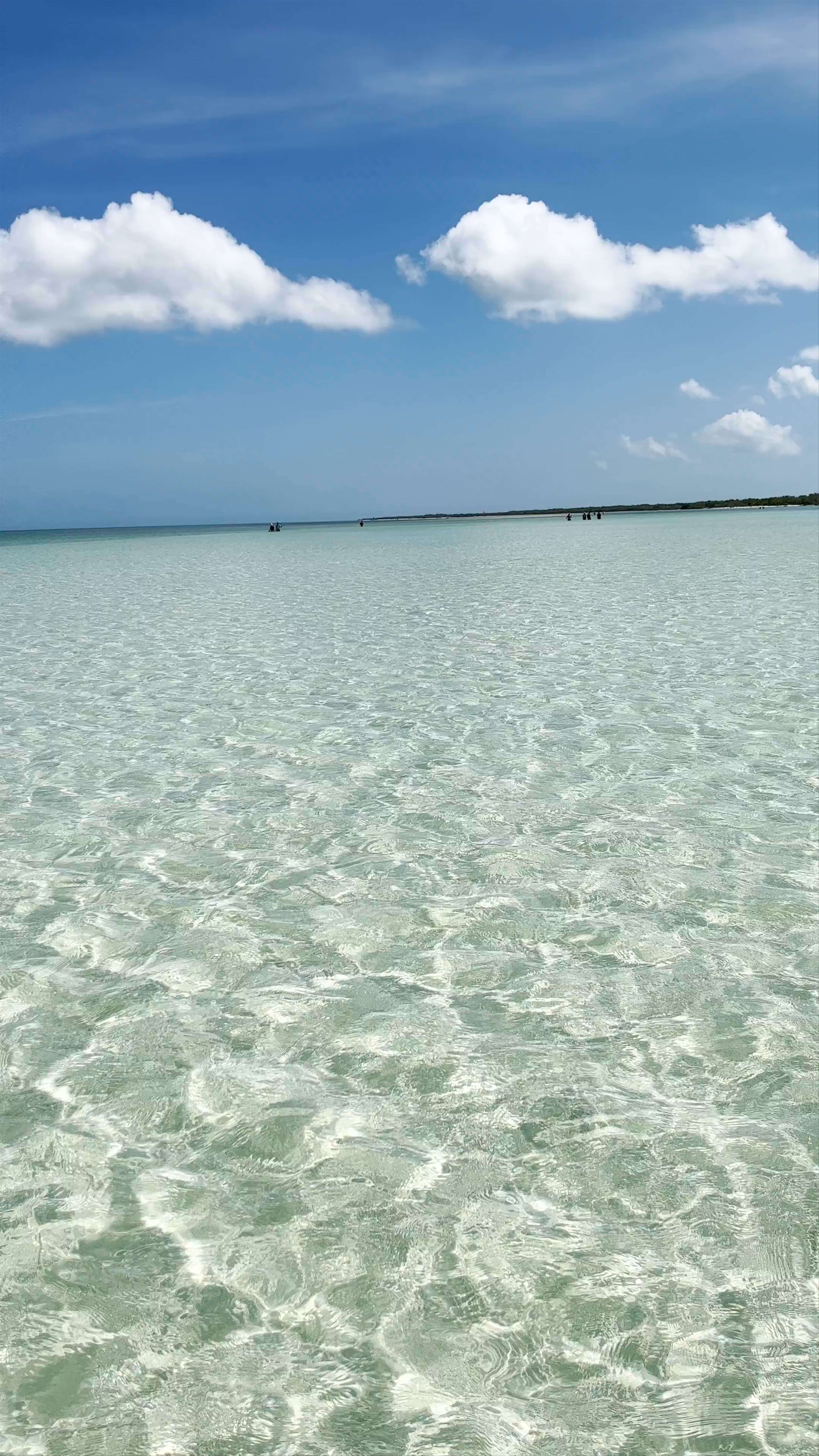 Crystal Clear Serenity at Isla Holbox, Quintana Roo