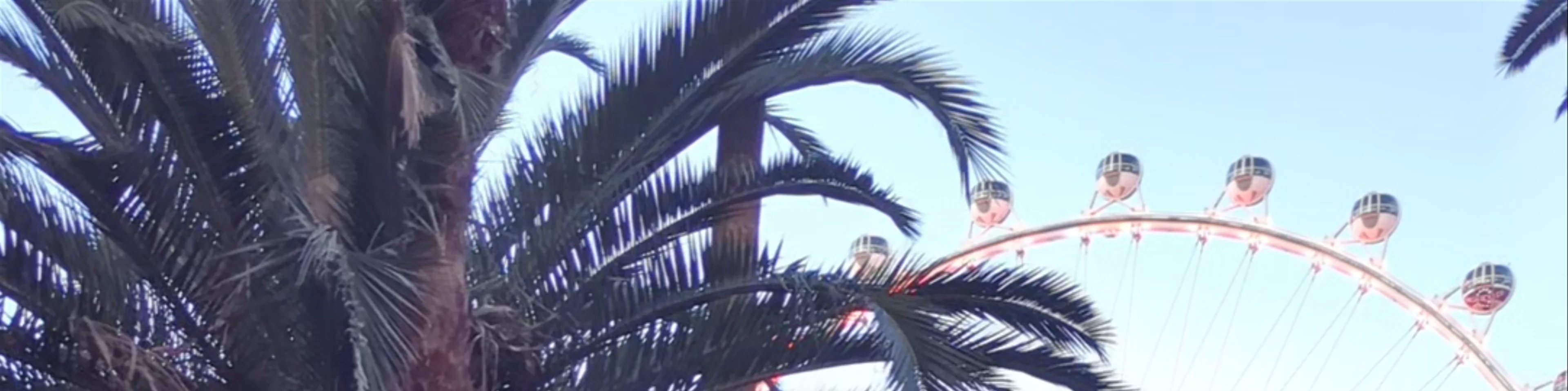 Flamingo Las Vegas Hotel & Casino