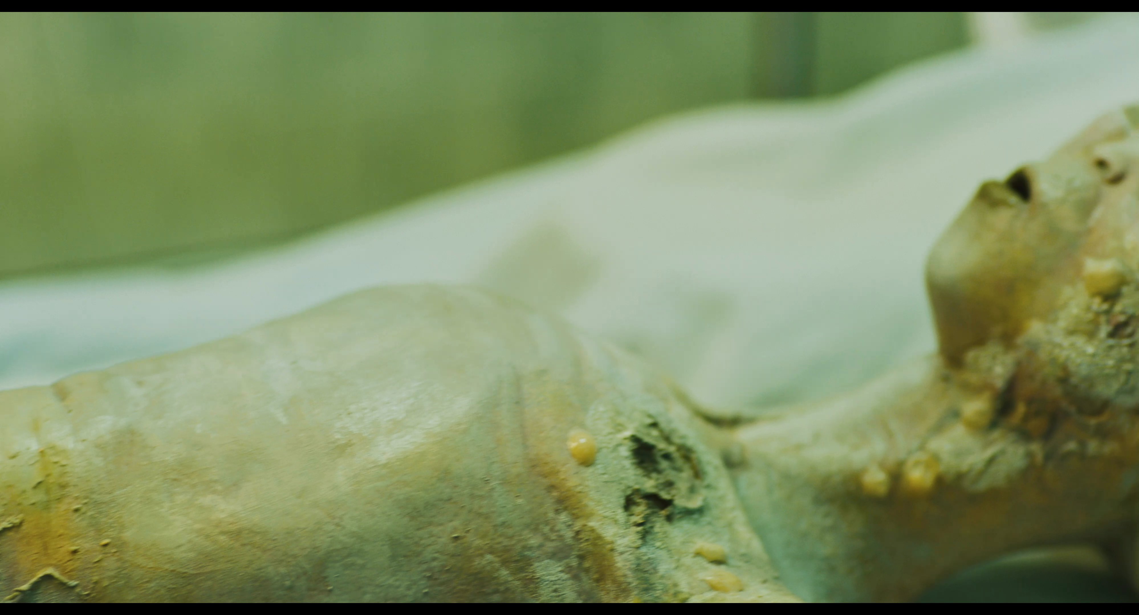 Two researchers discuss a restricted alien autopsy procedure in a secure laboratory setting before observing a specimen on an operating table.