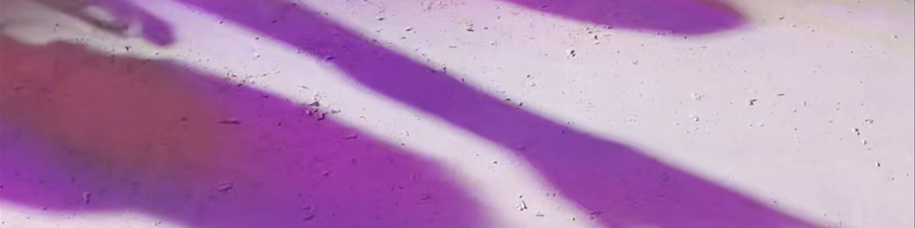 Skate Love Barcelona