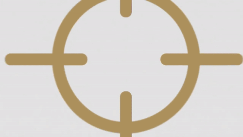 Video Thumbnail Loop