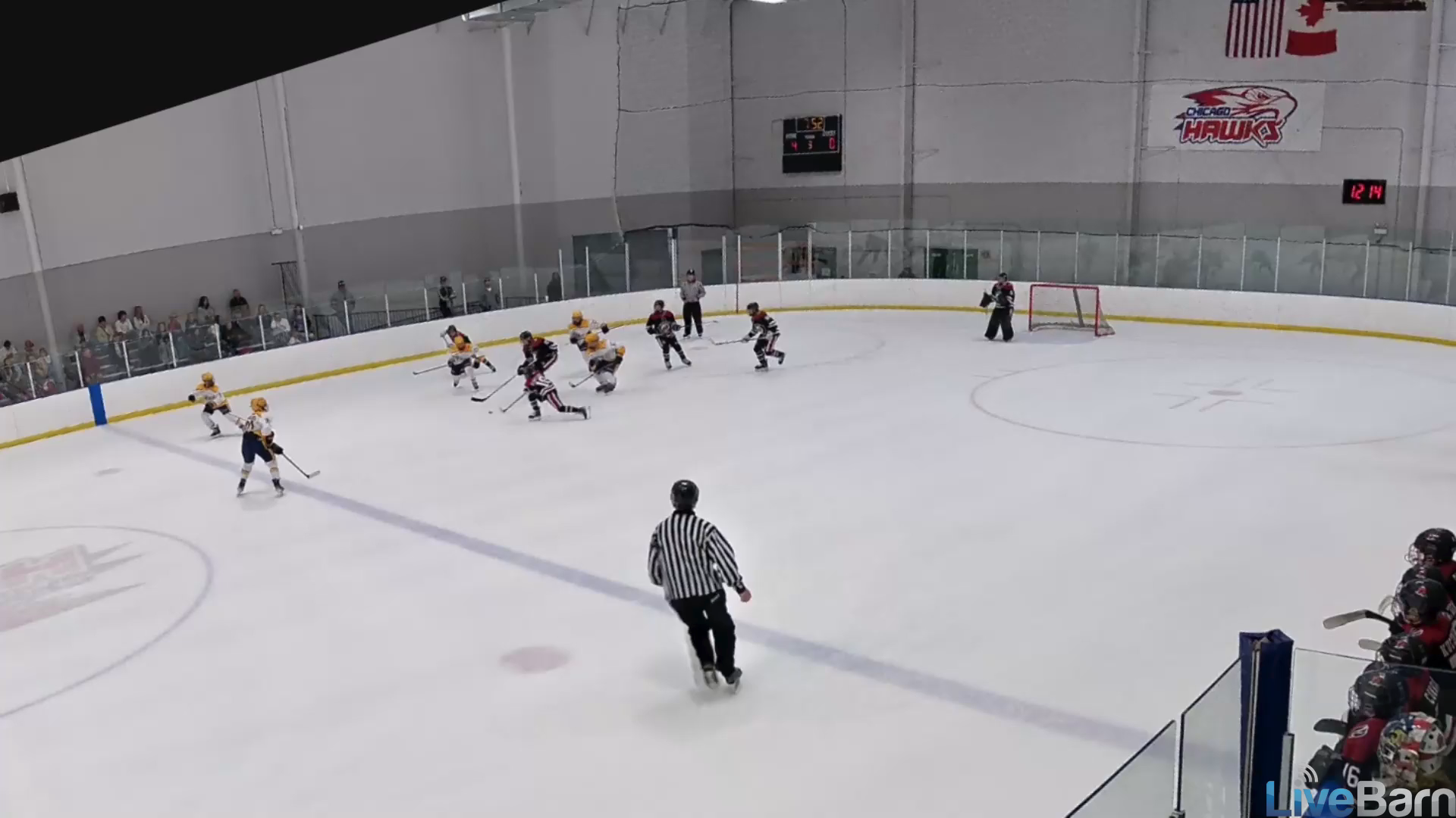 Garrett Rapplean: Dazzling Goals & Highlights - Chicago Fury 13U AAA