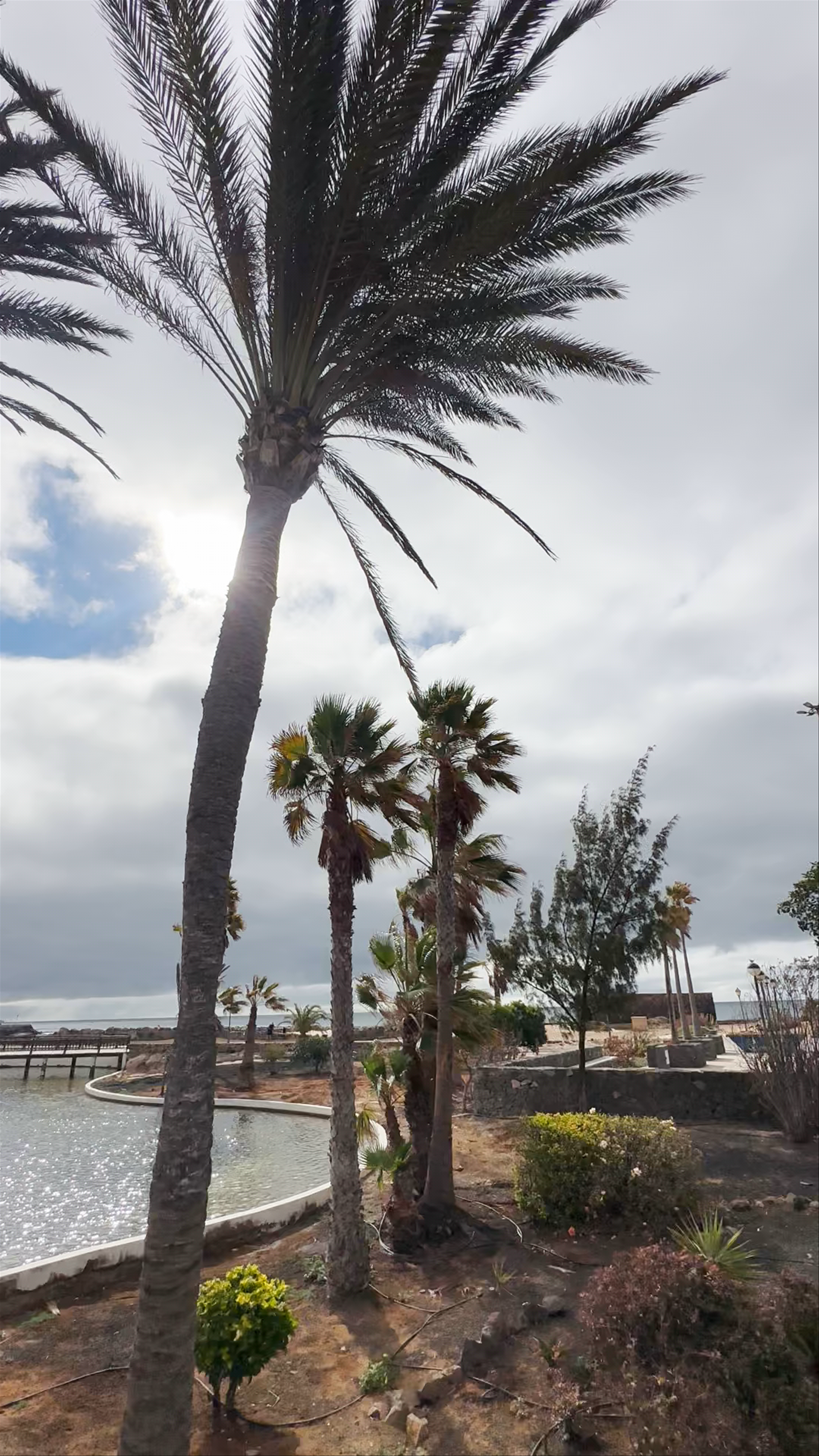 Centro Comercial Atlántico: Coastal Relaxation and Family Fun in Antigua, Spain