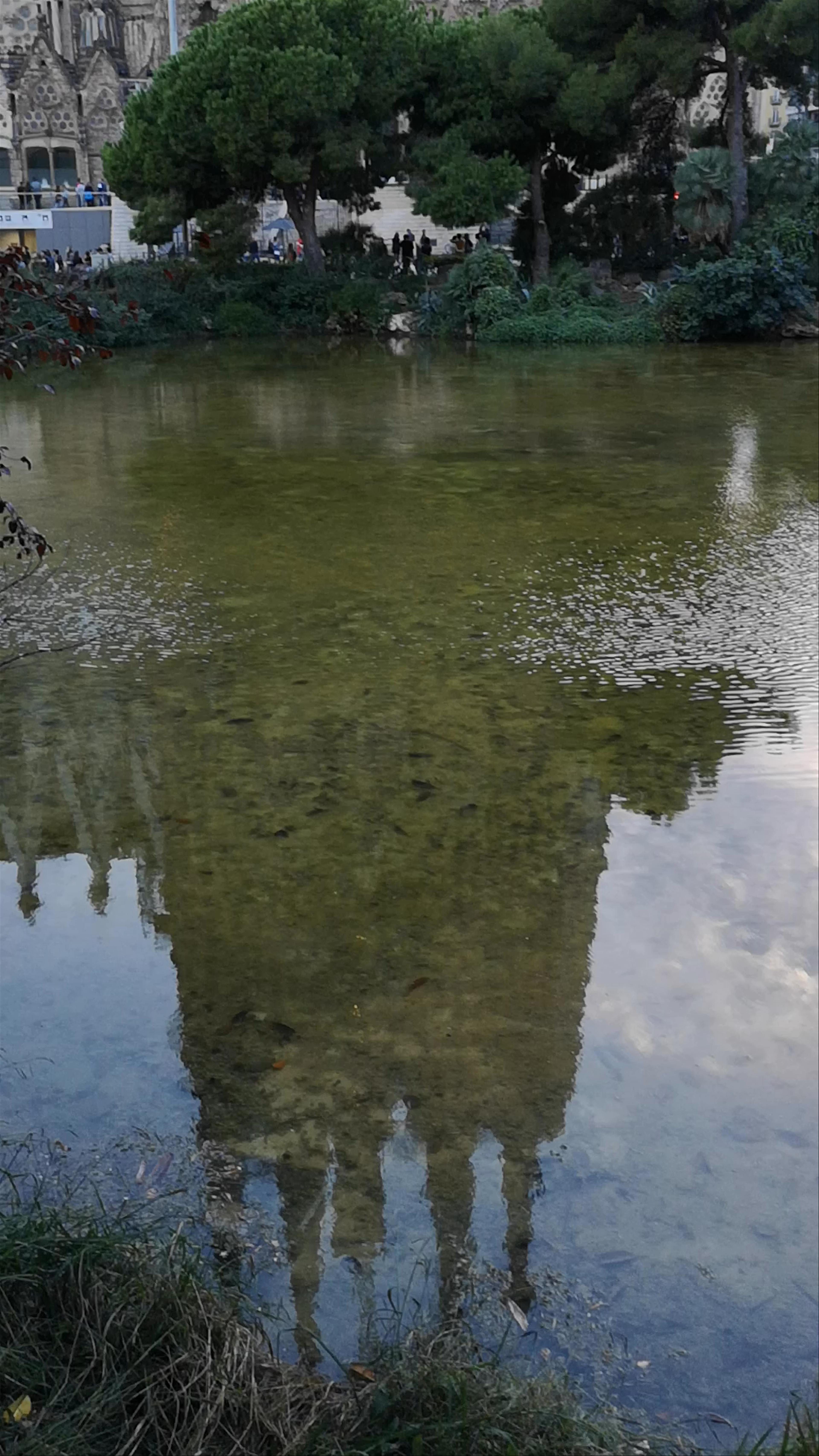 Sagrada Família Reflection at Plaza Pond, Barcelona