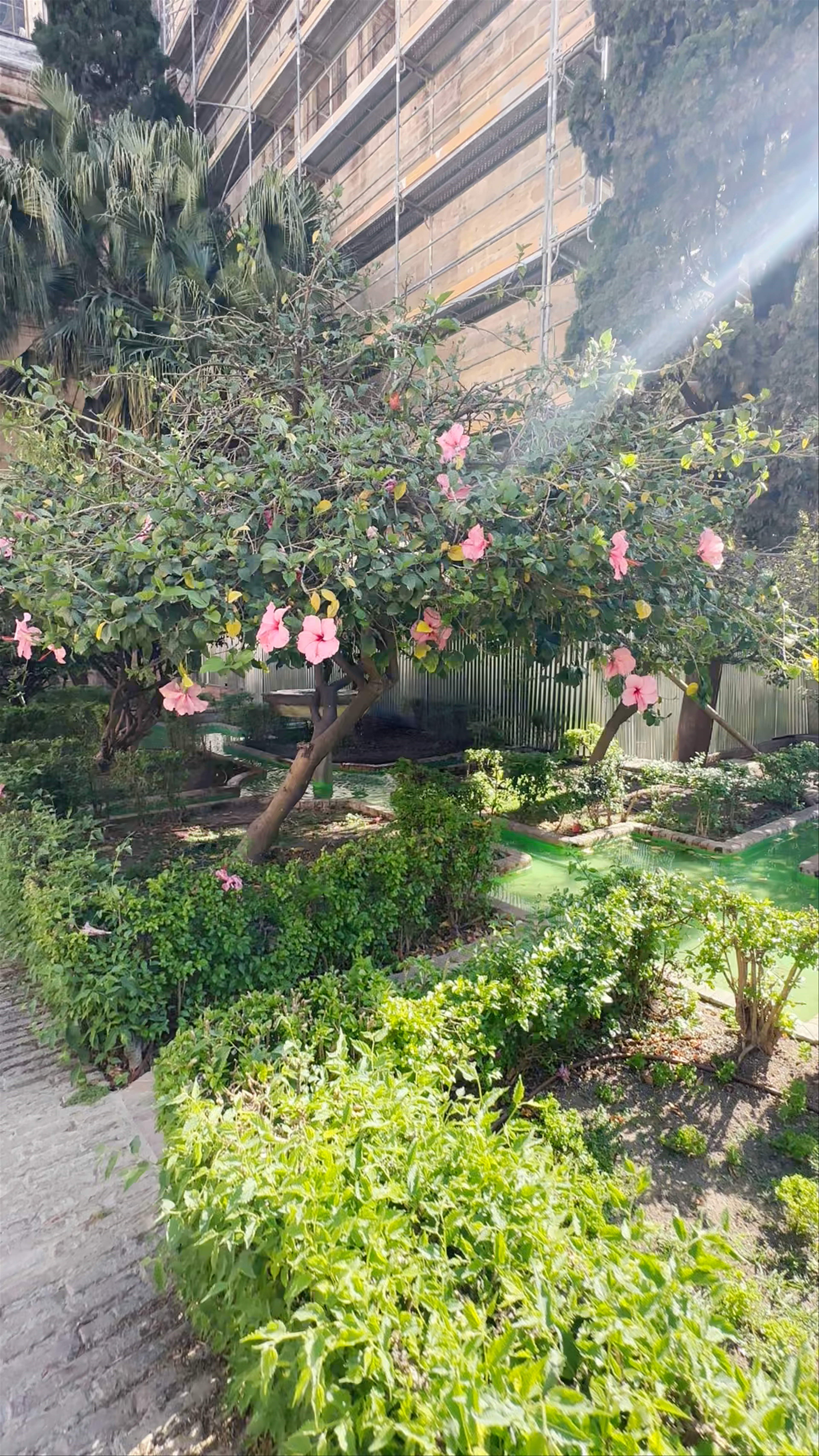 Jardines de La Catedral