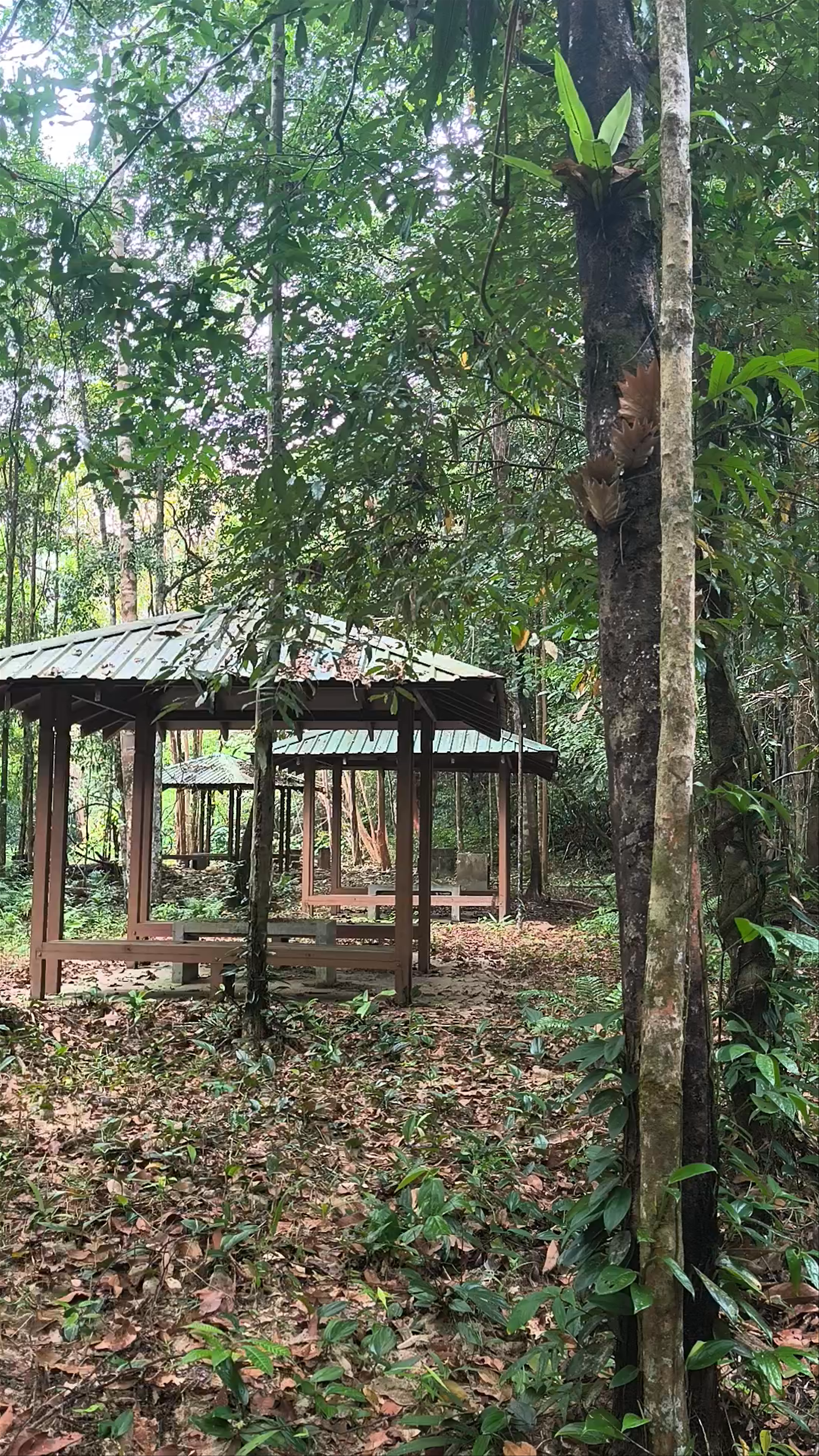 Matang Wildlife Homestay: Serene Nature Escape in Kuching, Sarawak