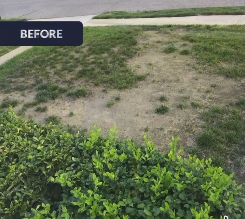 Vibrant Lawn Solutions - Lawn Services Near Me